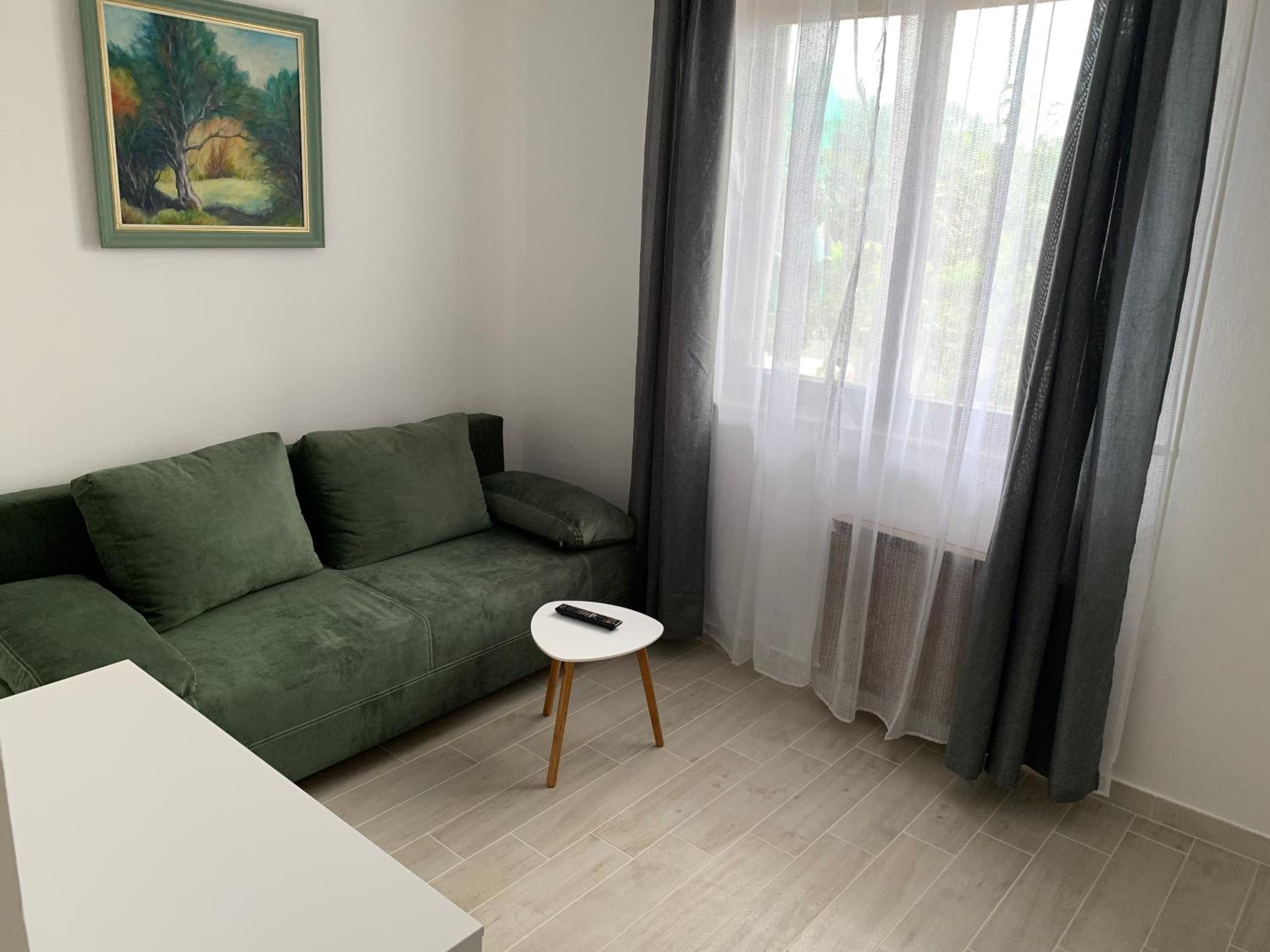 One-Bedroom Apartment with Terrace photo 2