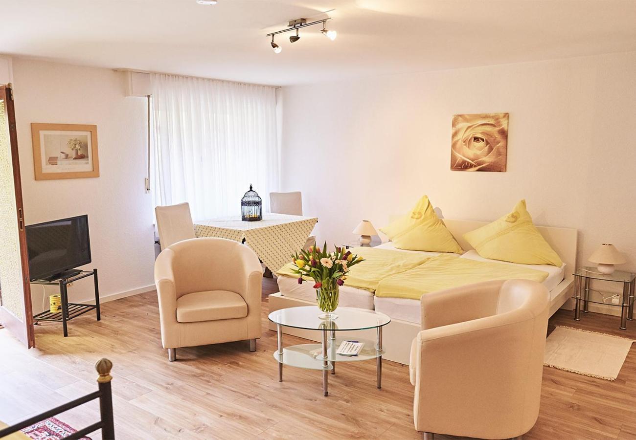 Apartment with Terrace Nr. 1