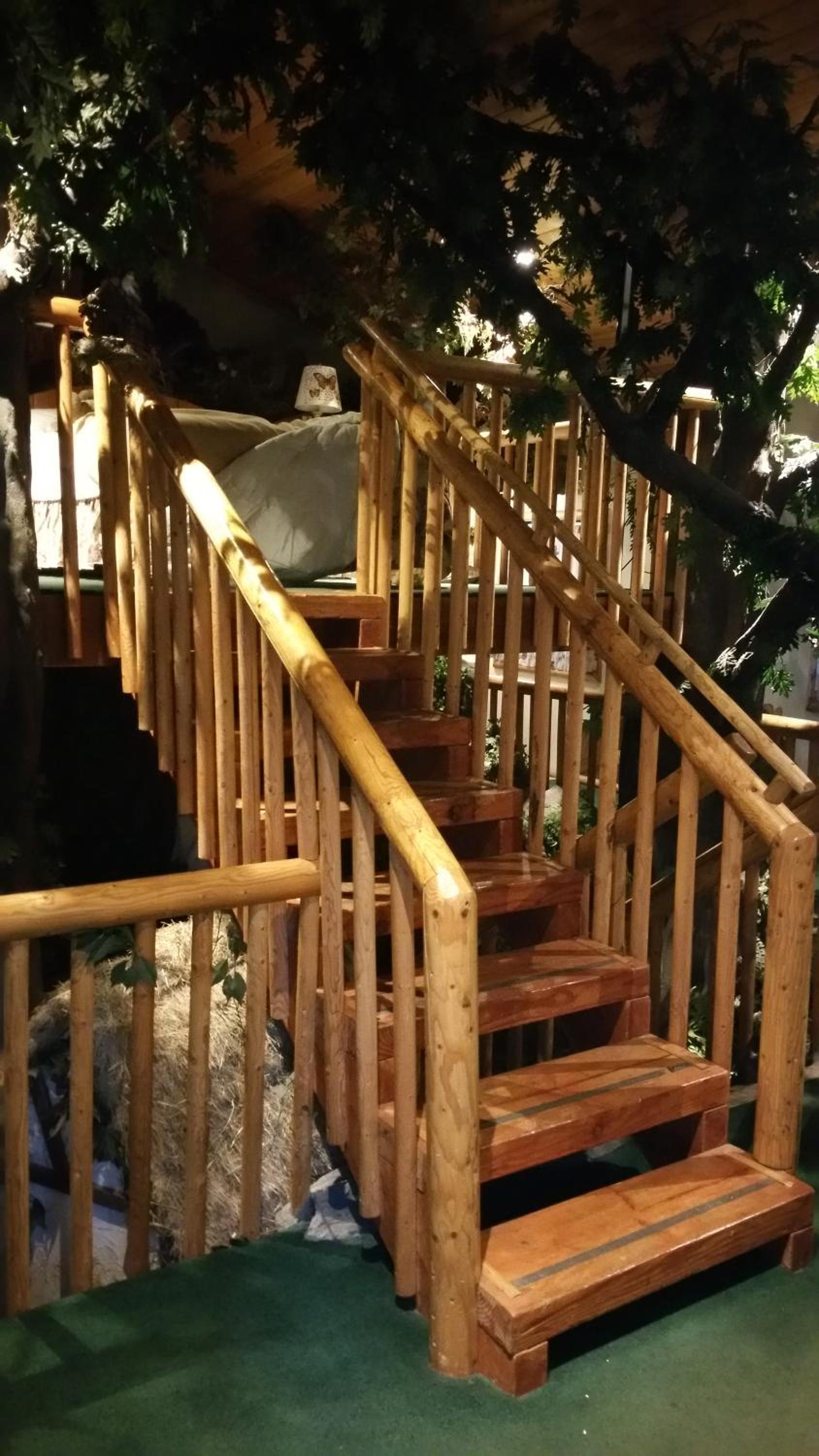 Enchanted Forest photo 1