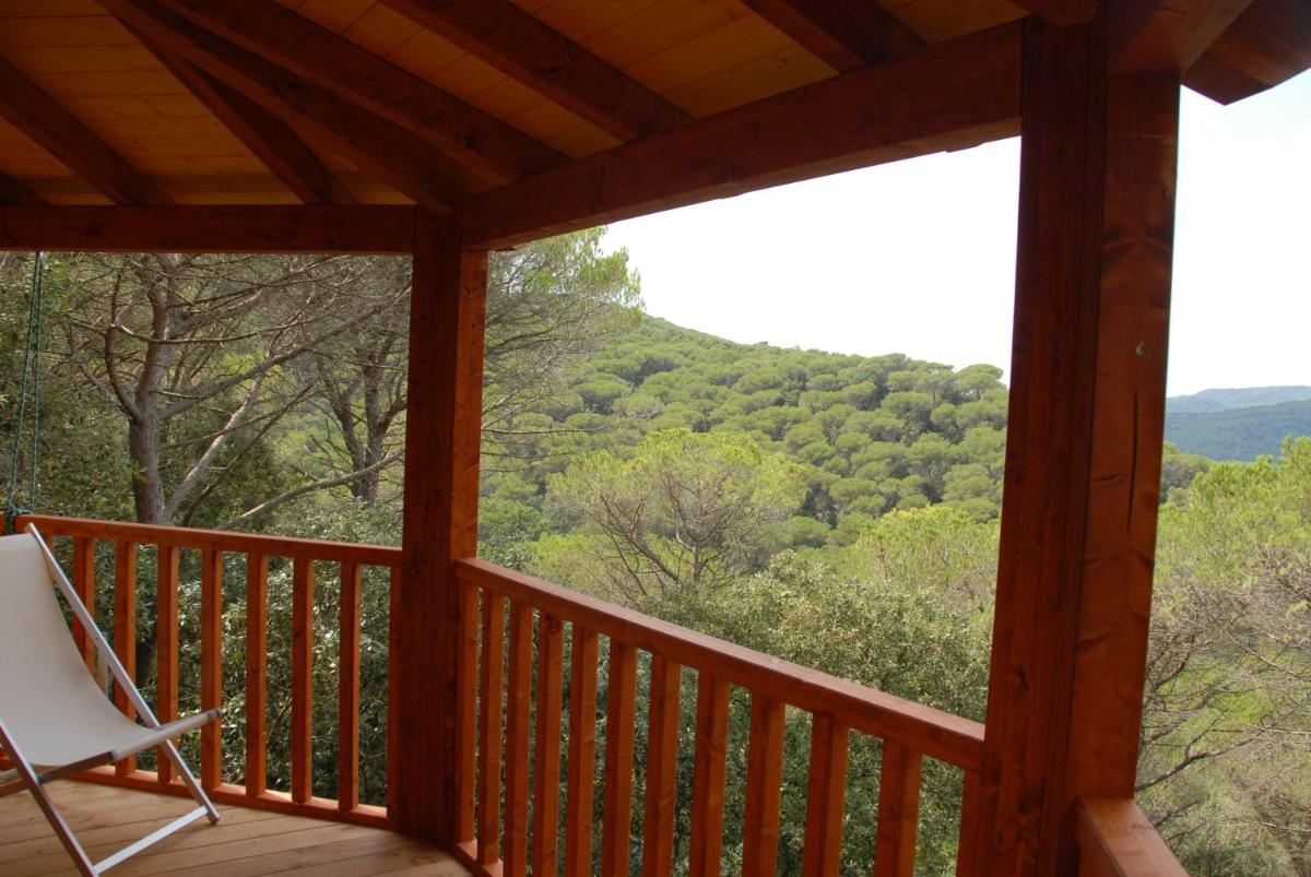 Tree House photo 3