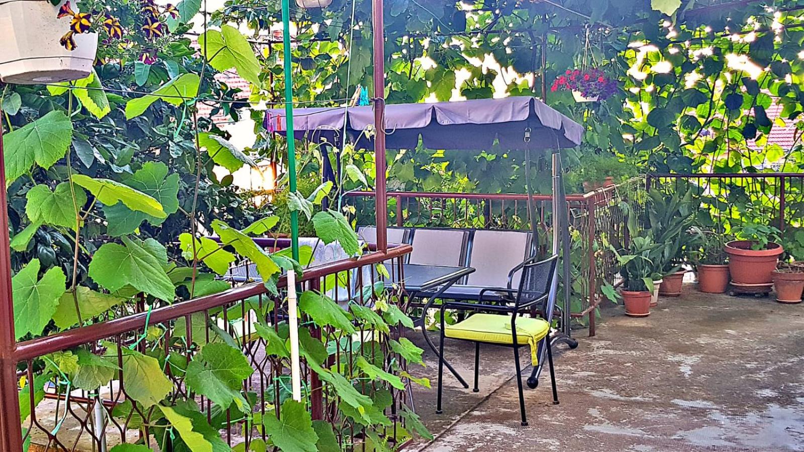 Apartment with Terrace