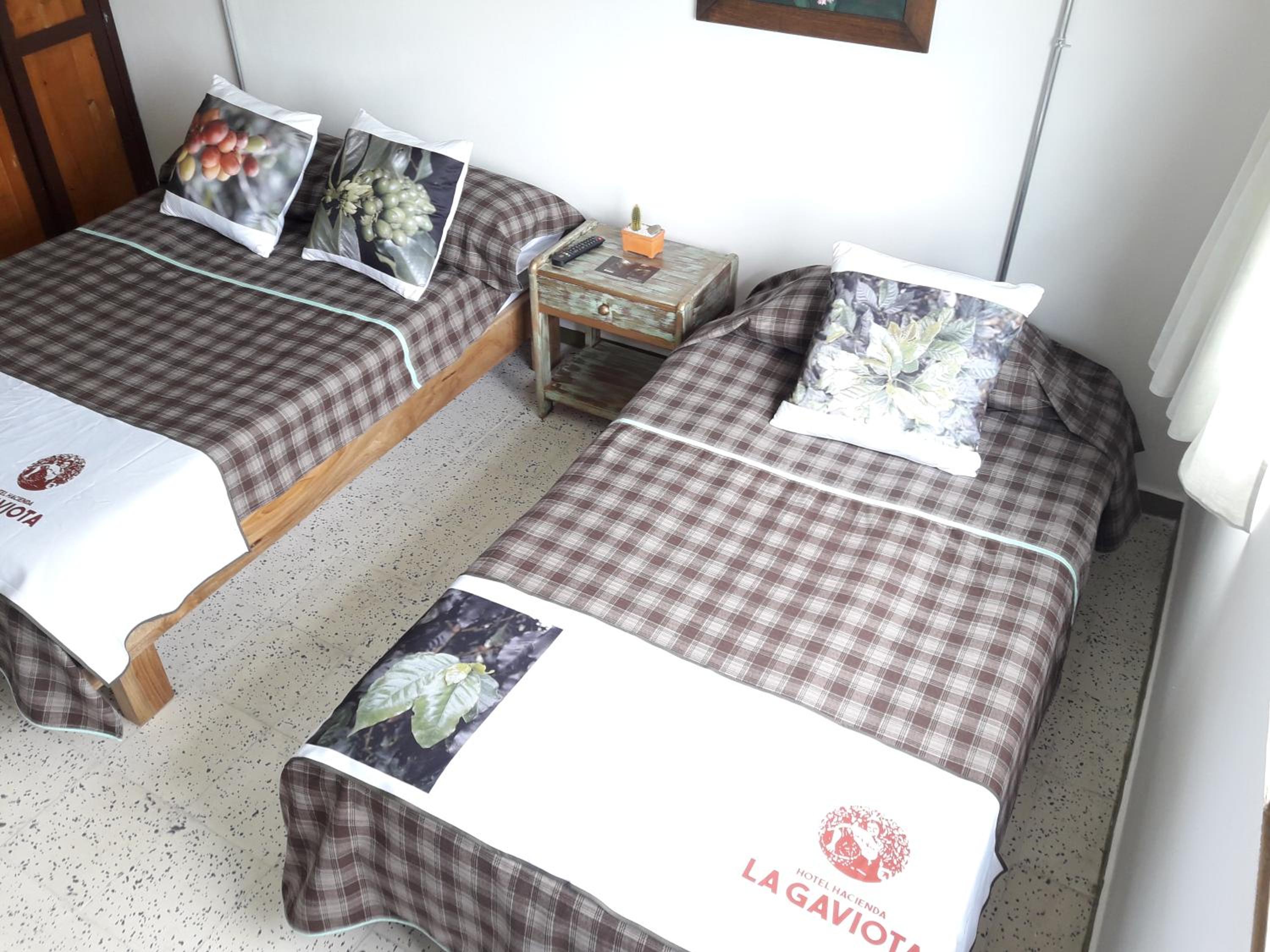 Twin Room with Mountain View photo 3