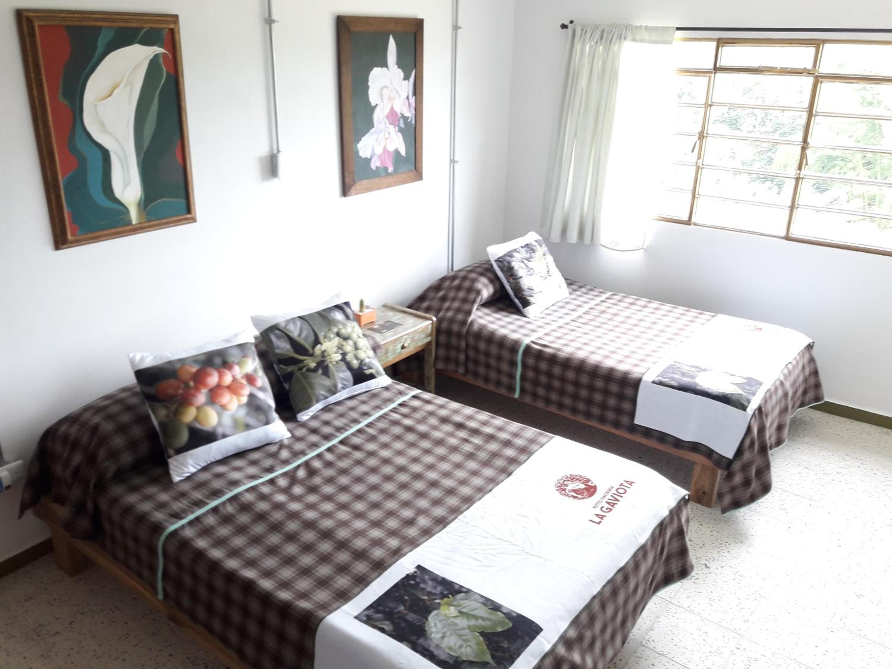 Twin Room with Mountain View photo 1