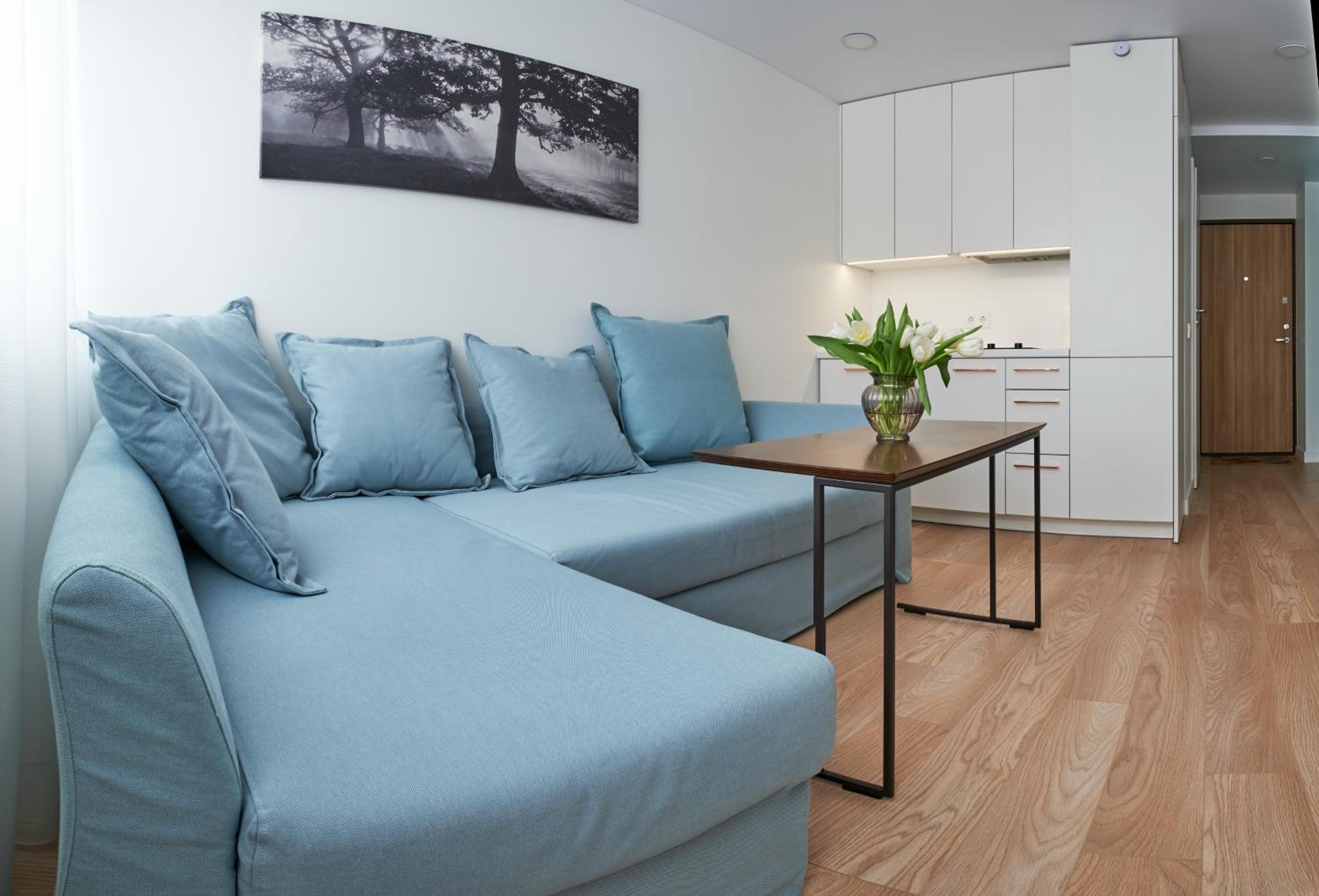 Studio Apartment