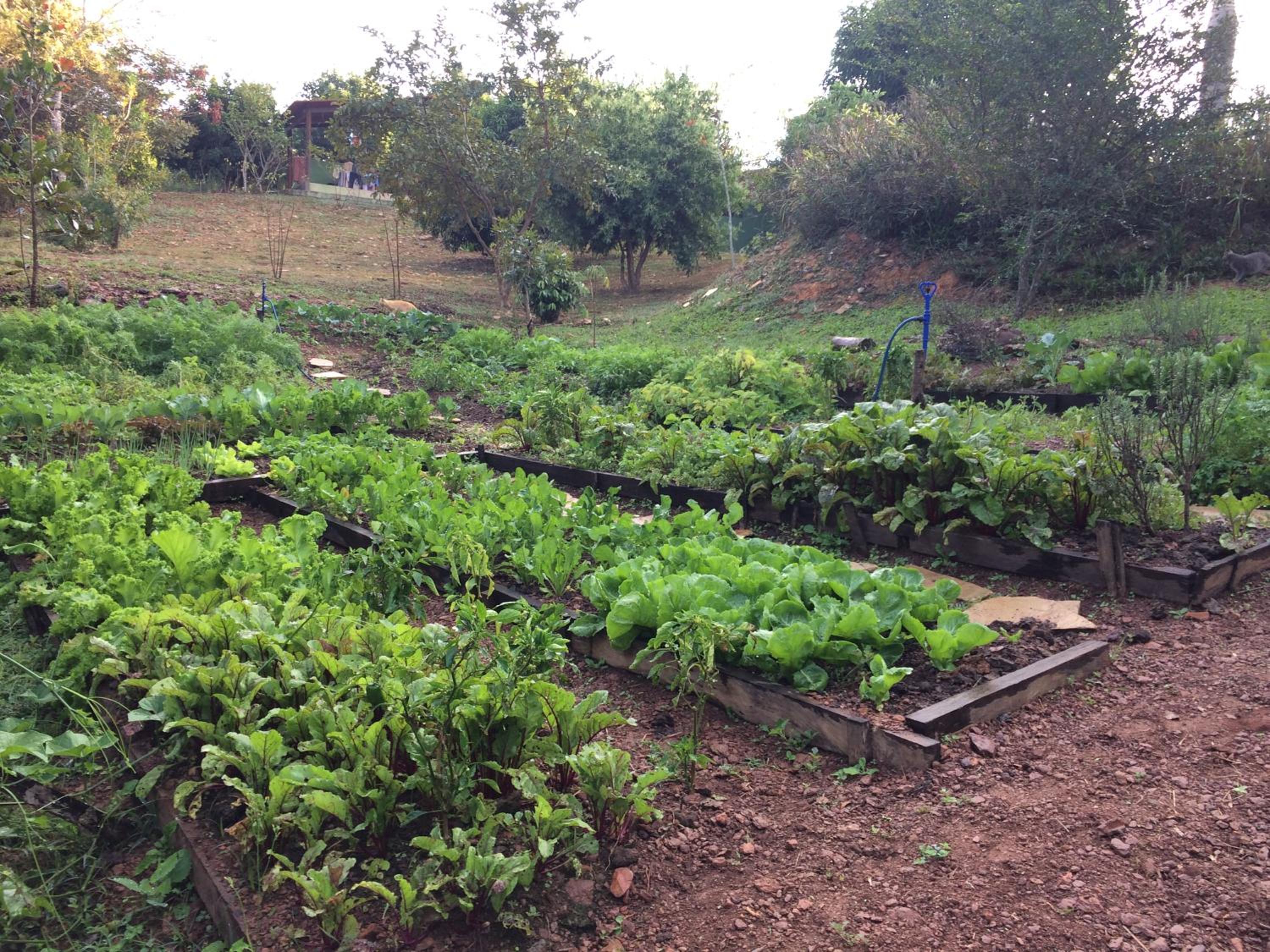 Junior Suite with Mountain View photo 3