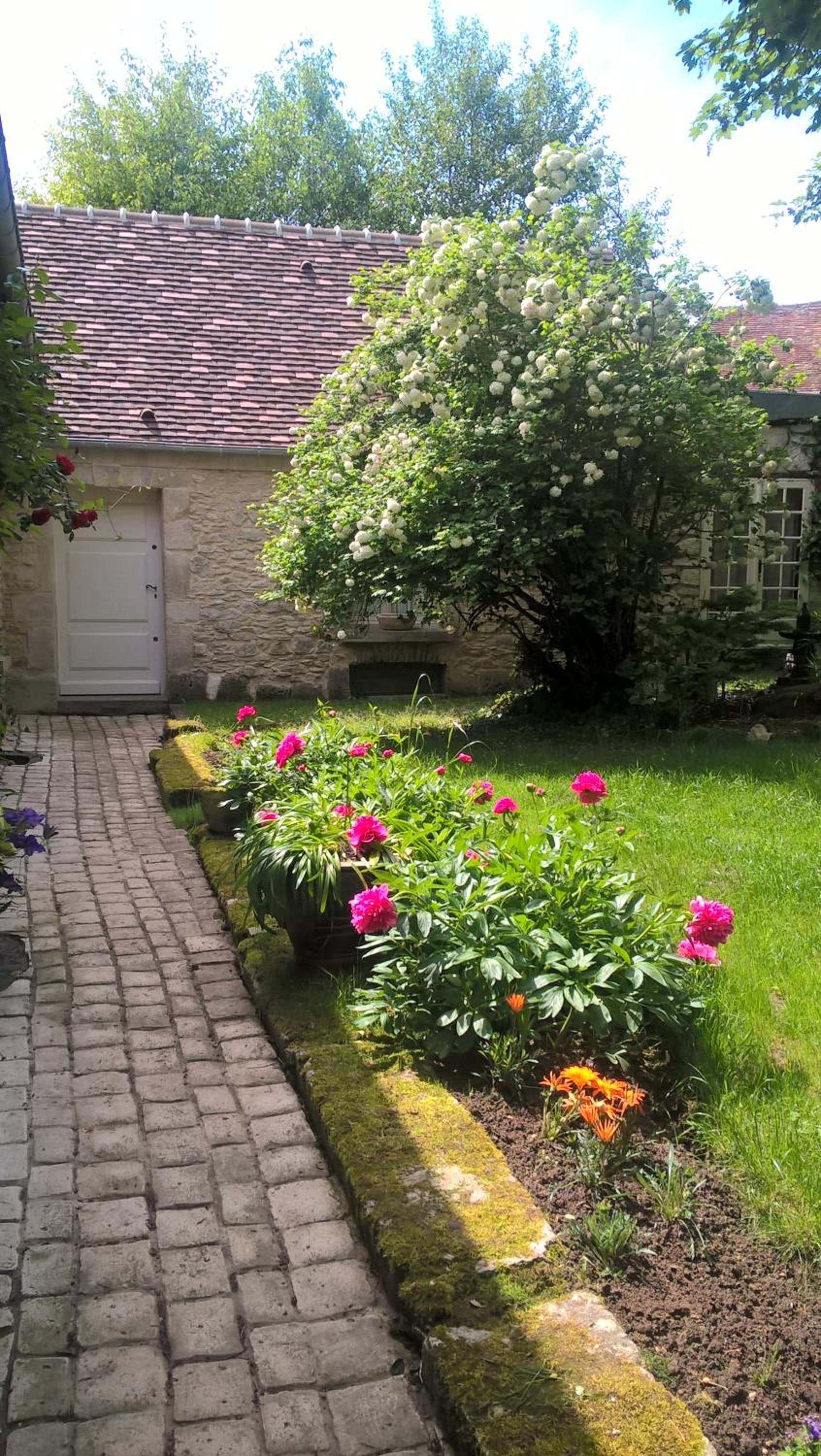 Double Room with Garden View photo 1