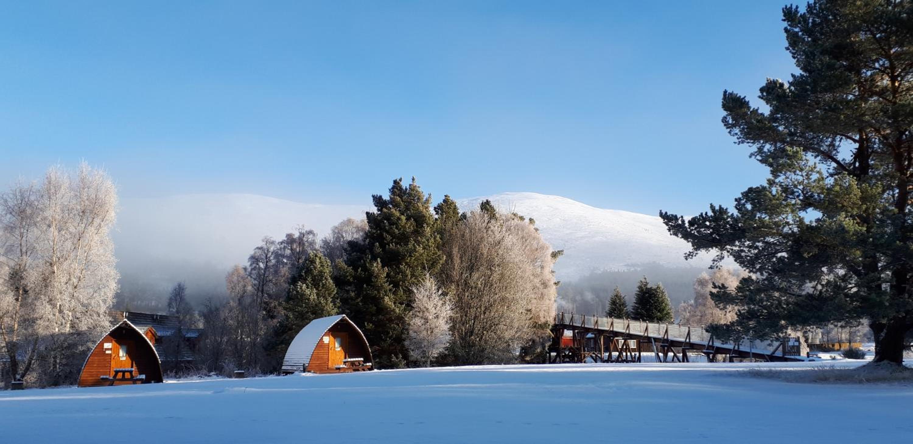 Eco Pod 10 (not pet friendly) photo 2