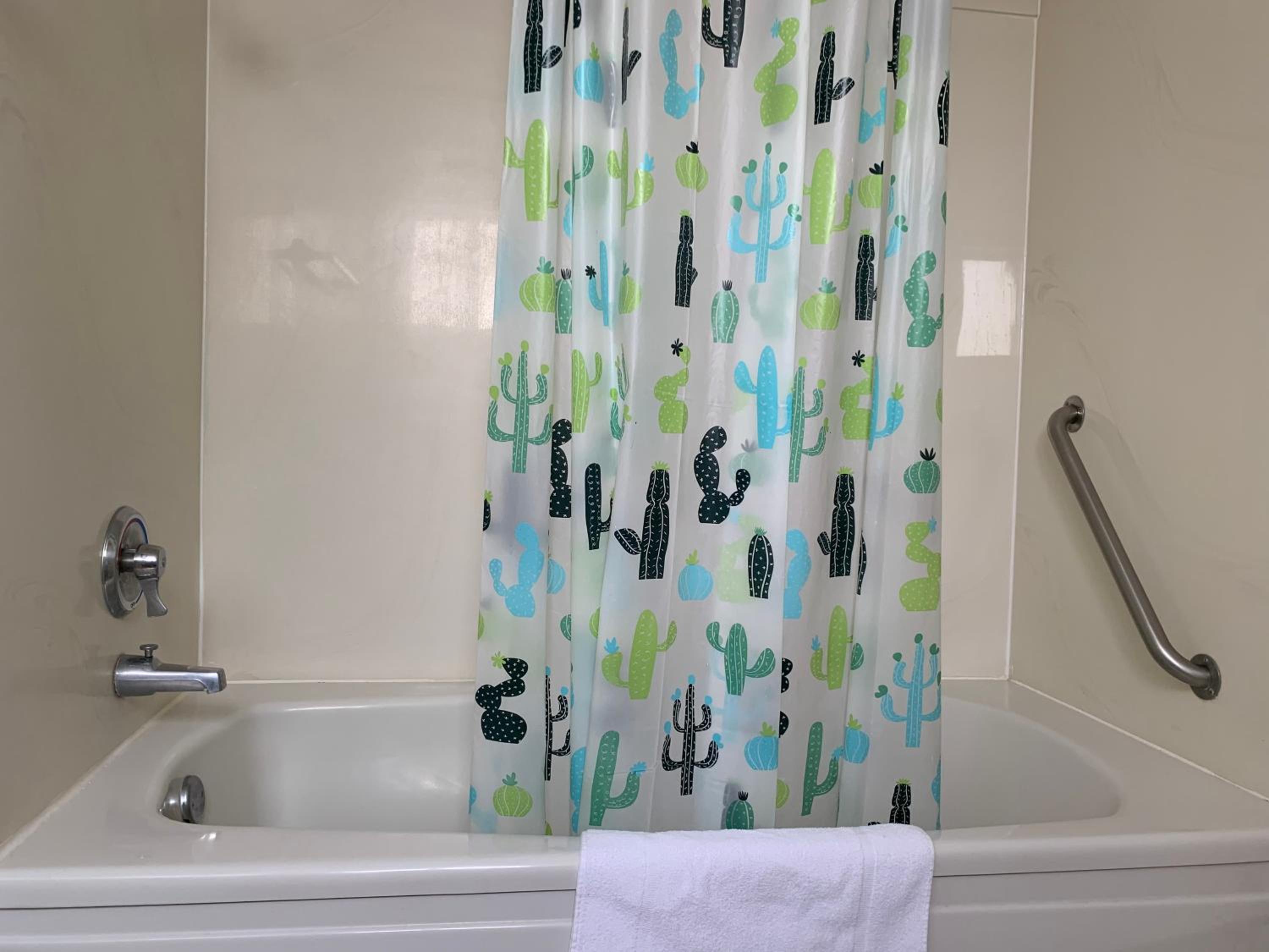 Deluxe Suite photo 3