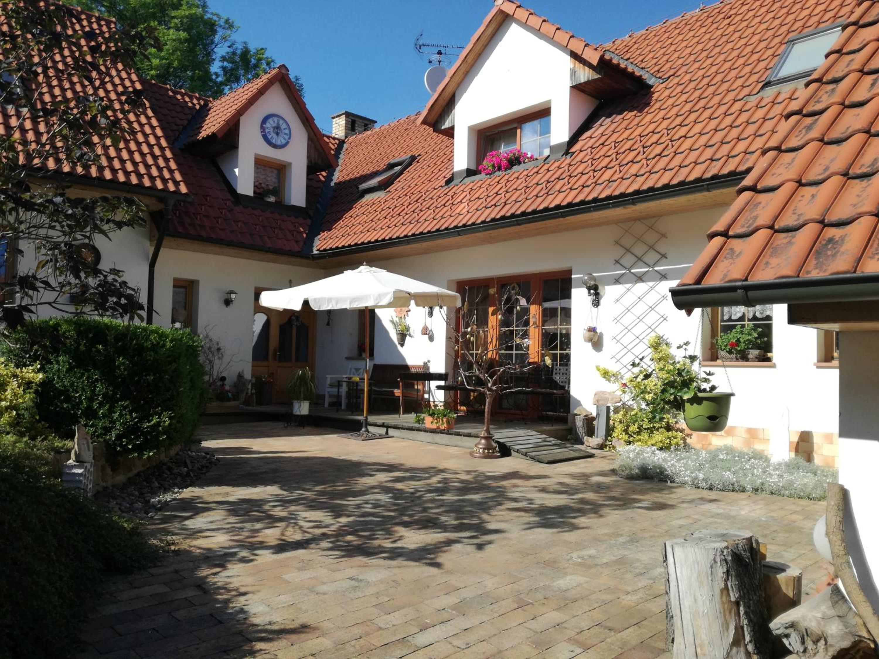 Apartment with Terrace photo 3