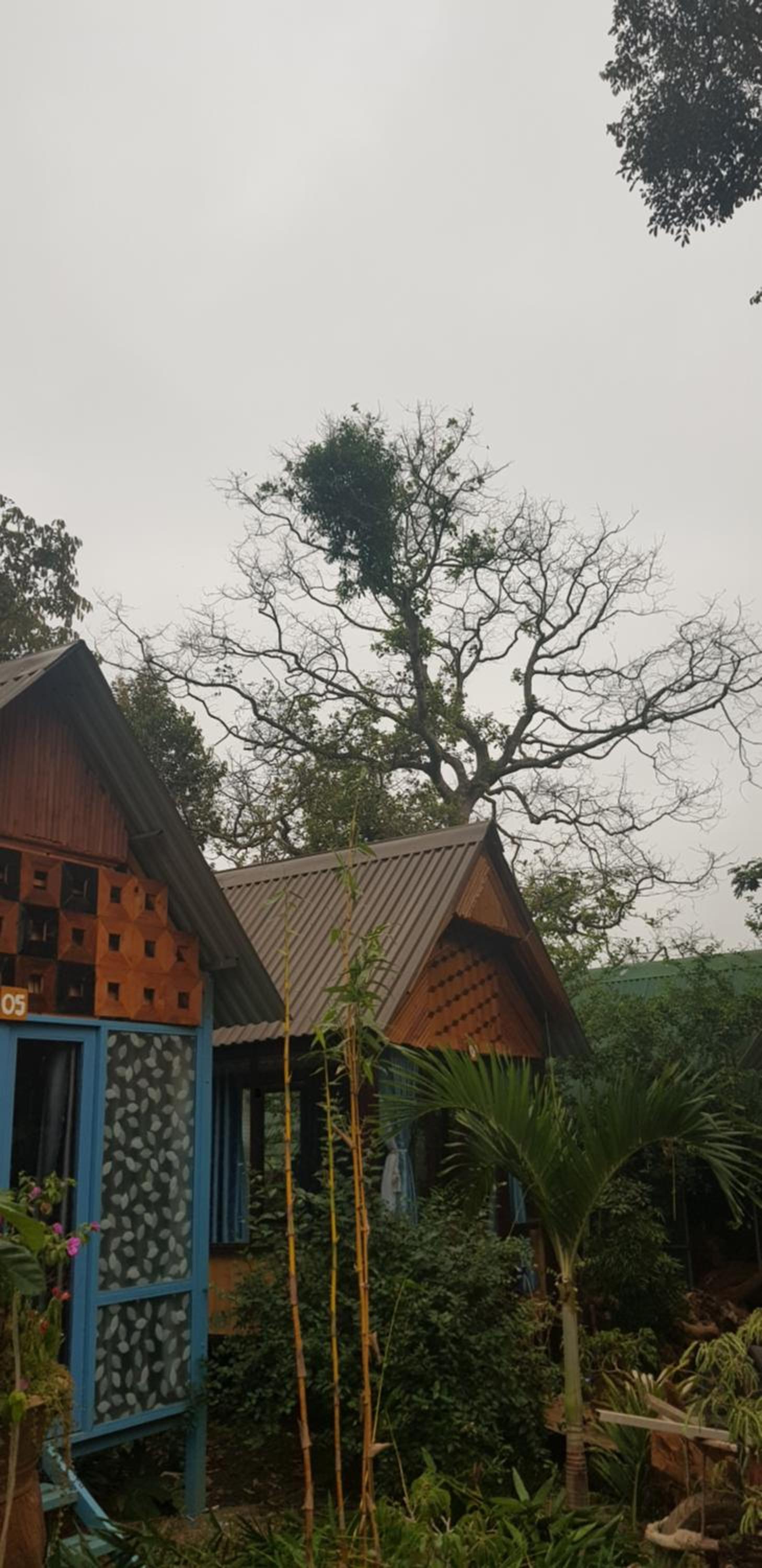 Double Room with Garden View - Photo 17