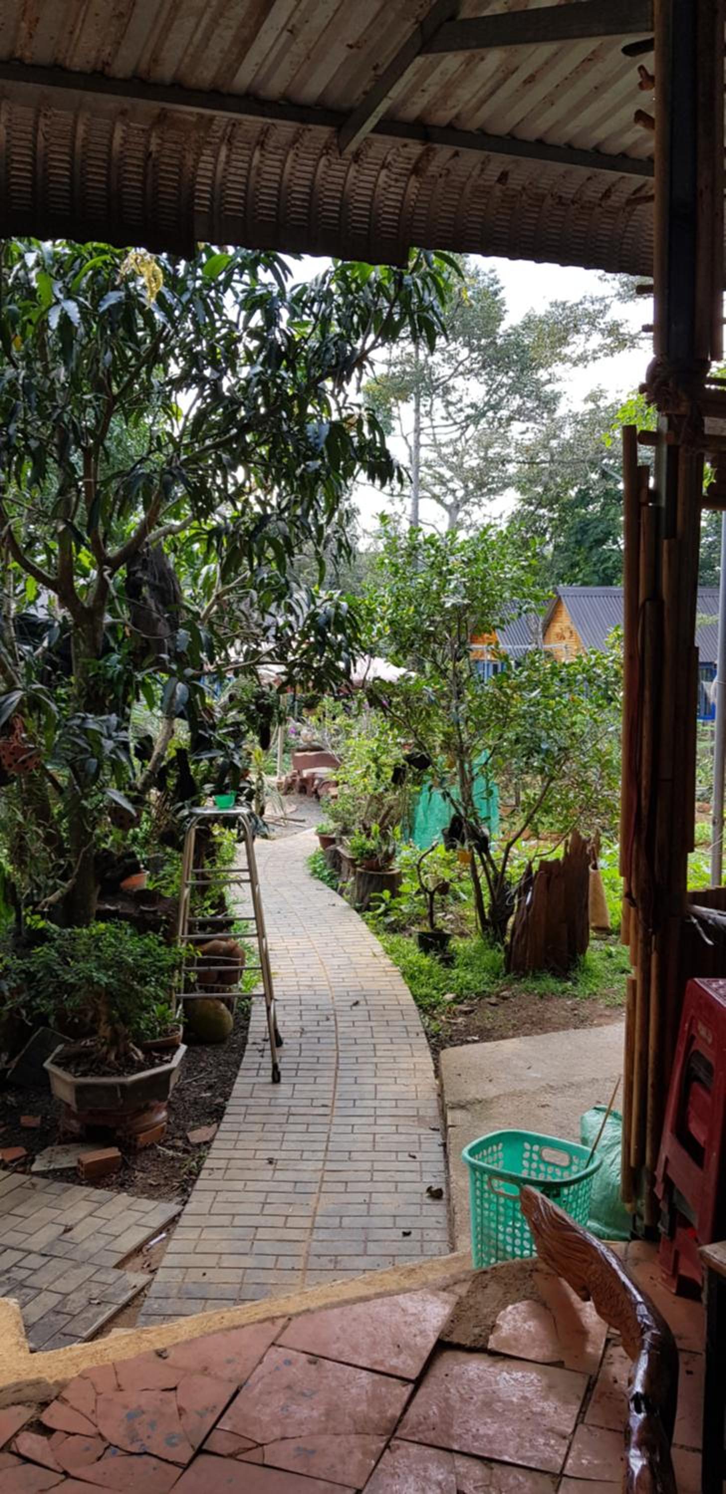Double Room with Garden View - Photo 38