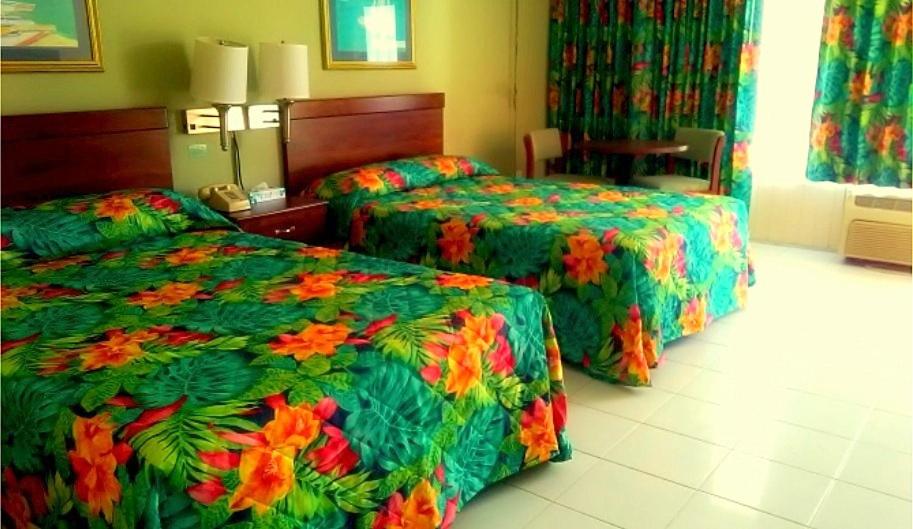Double Room with Two Double Beds