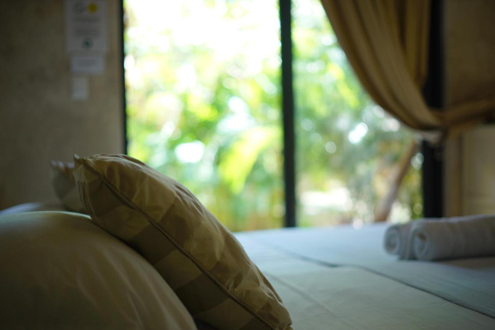 Superior Double or Twin Room with Jungle View - Photo 52
