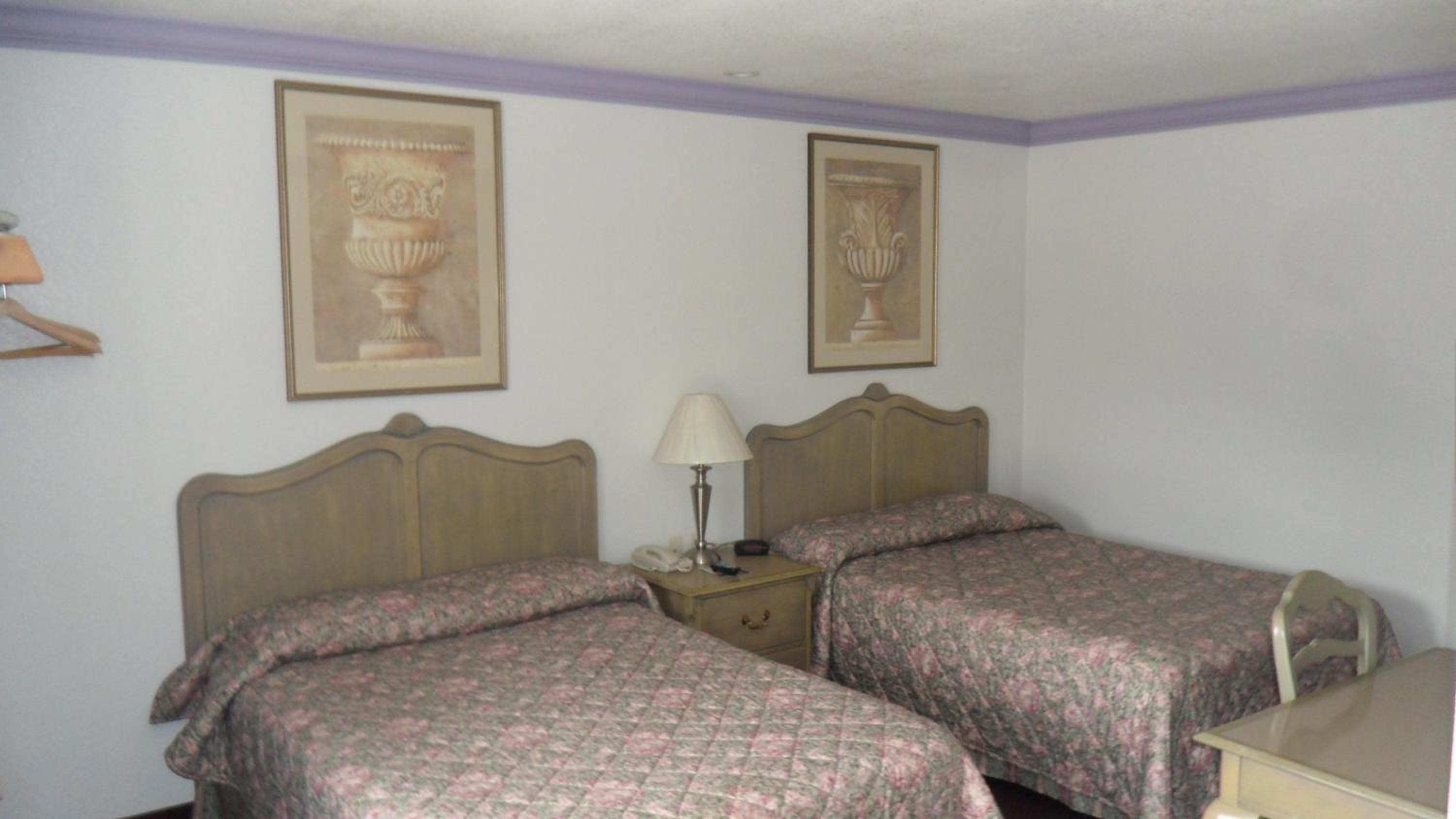 Room with Two Double Beds photo 1