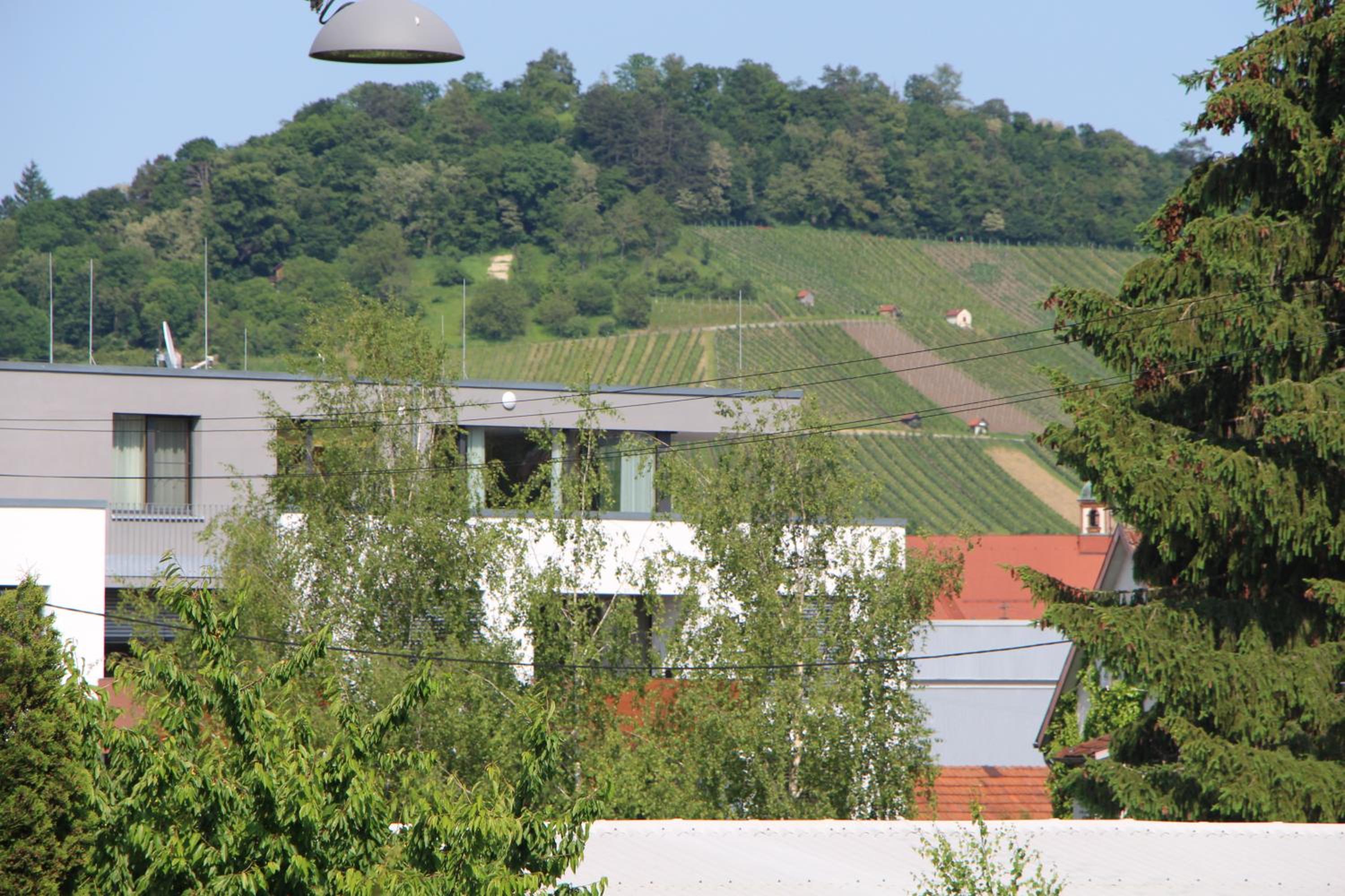 Apartment with Terrace - Photo 11