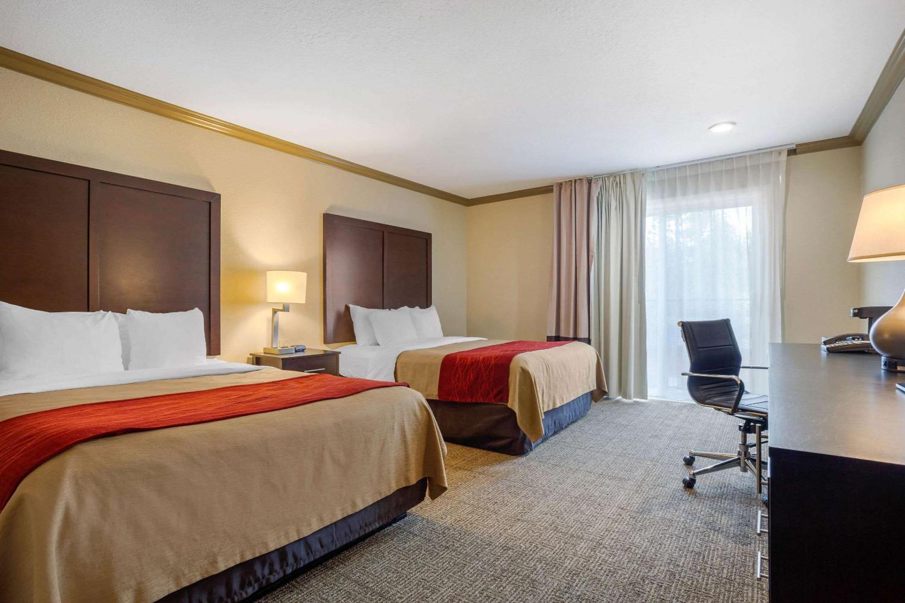 Queen Room with Two Queen Beds - Non-Smoking - Photo 4