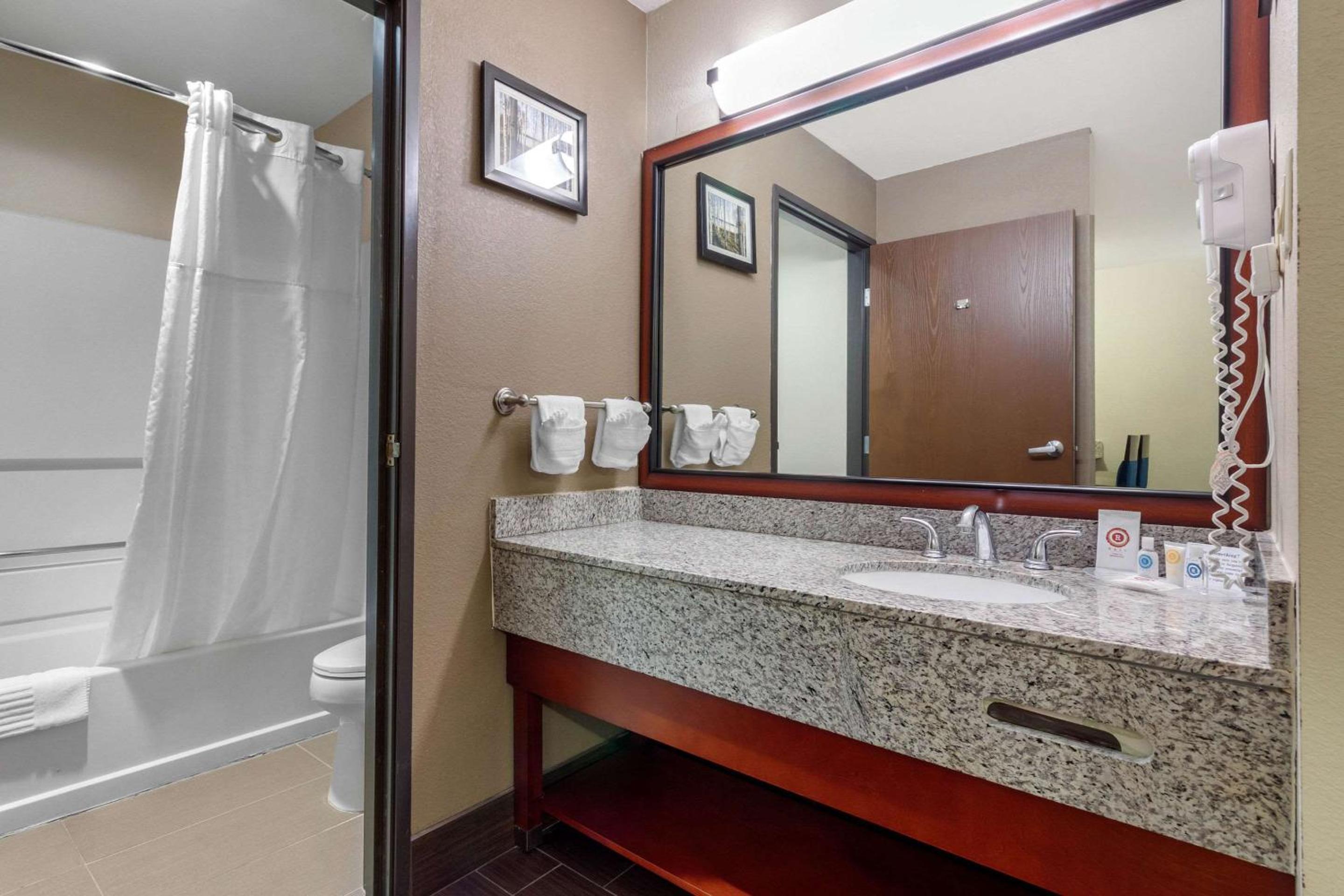 King Suite - Non-Smoking - Photo 4