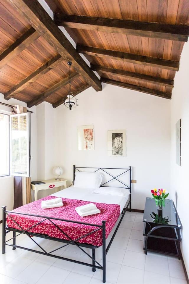 One-Bedroom House photo 1