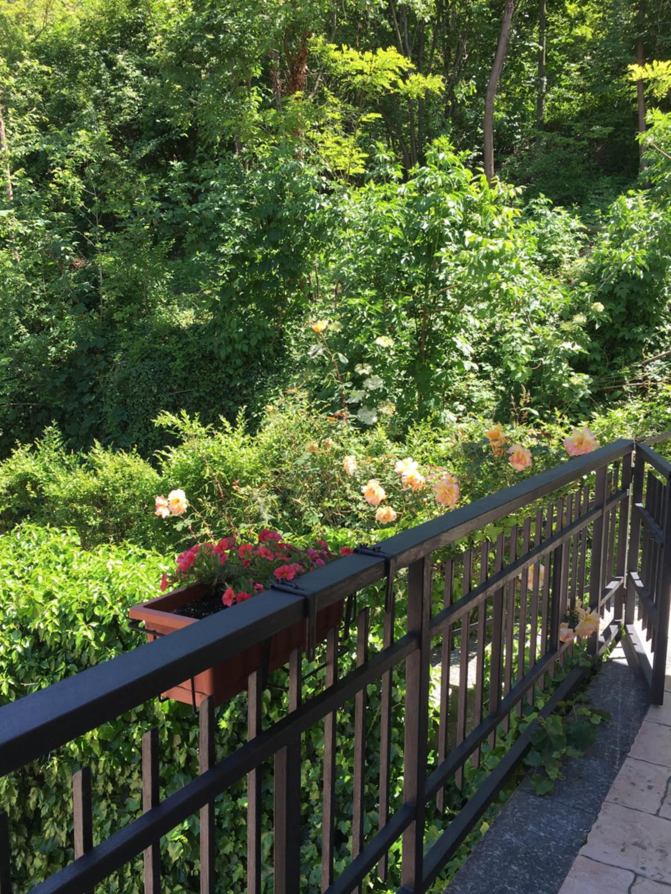 Apartment with Terrace - Photo 7