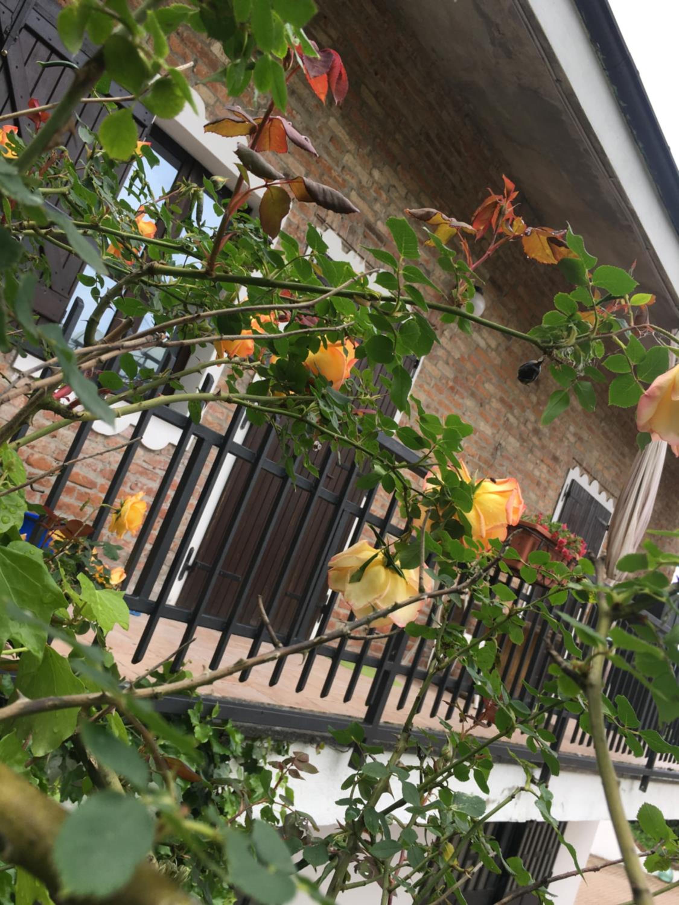 Apartment with Terrace - Photo 8