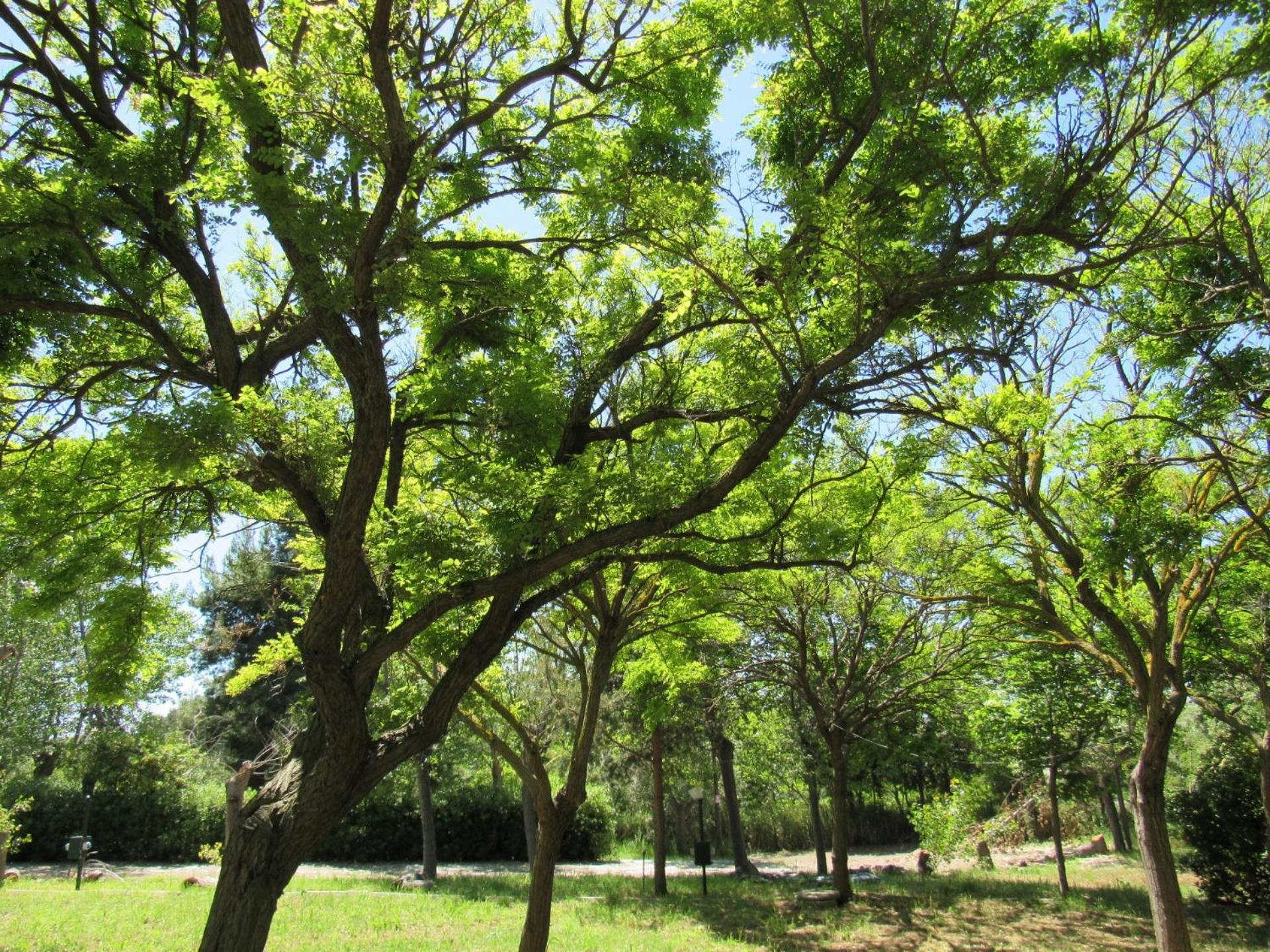 Empty lot - Photo 17