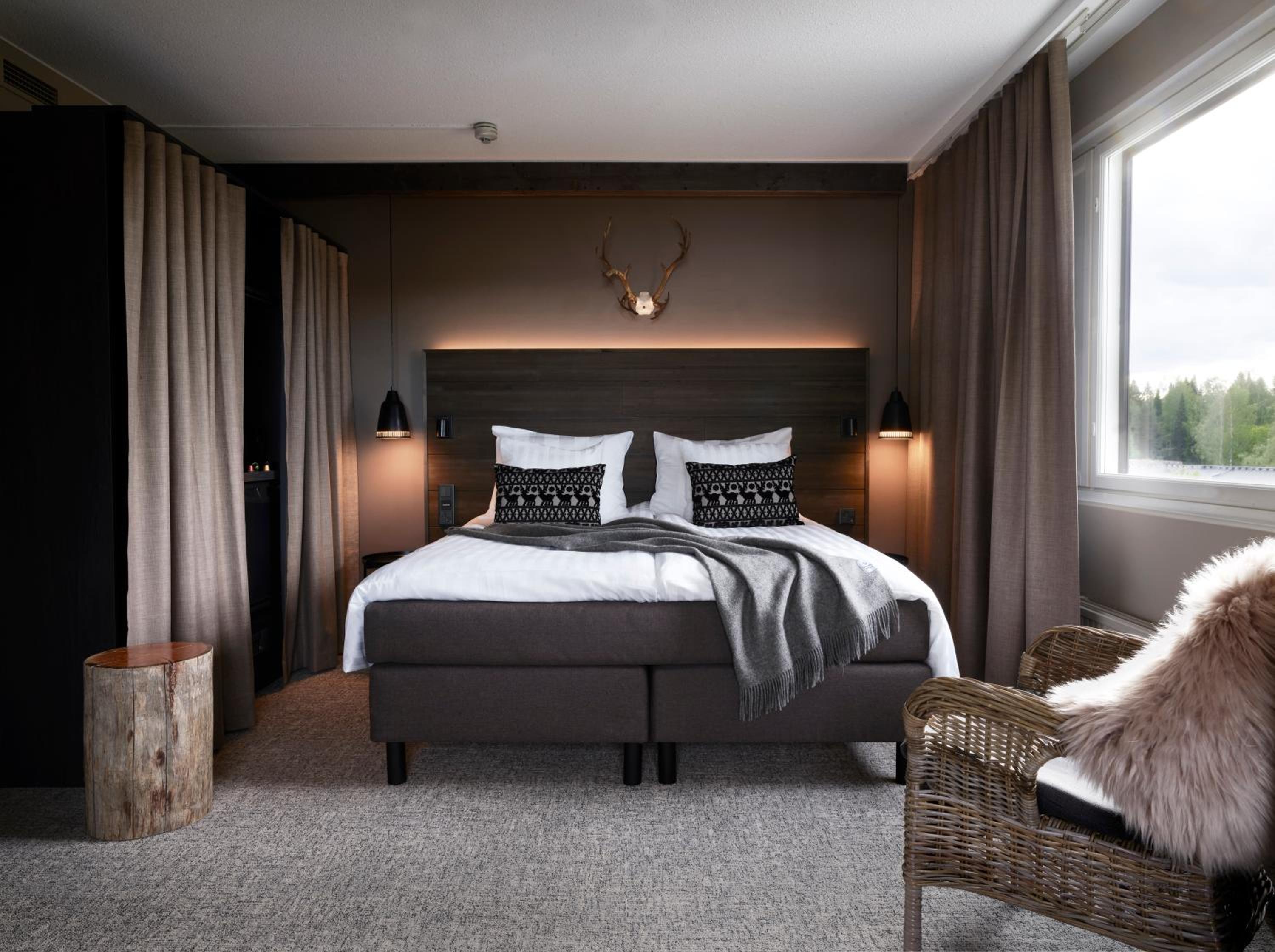 Suite - Photo 1