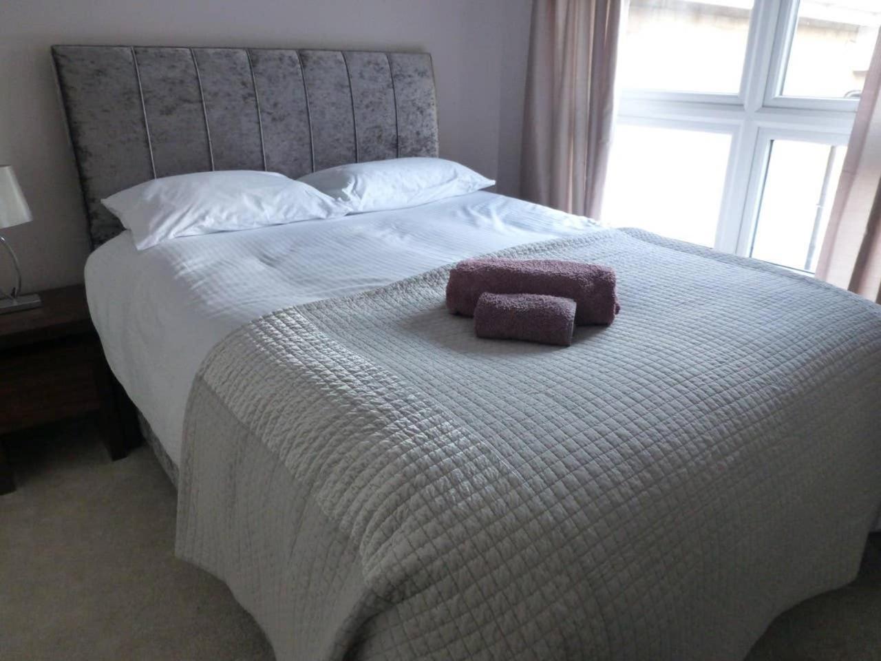 King Room photo 2