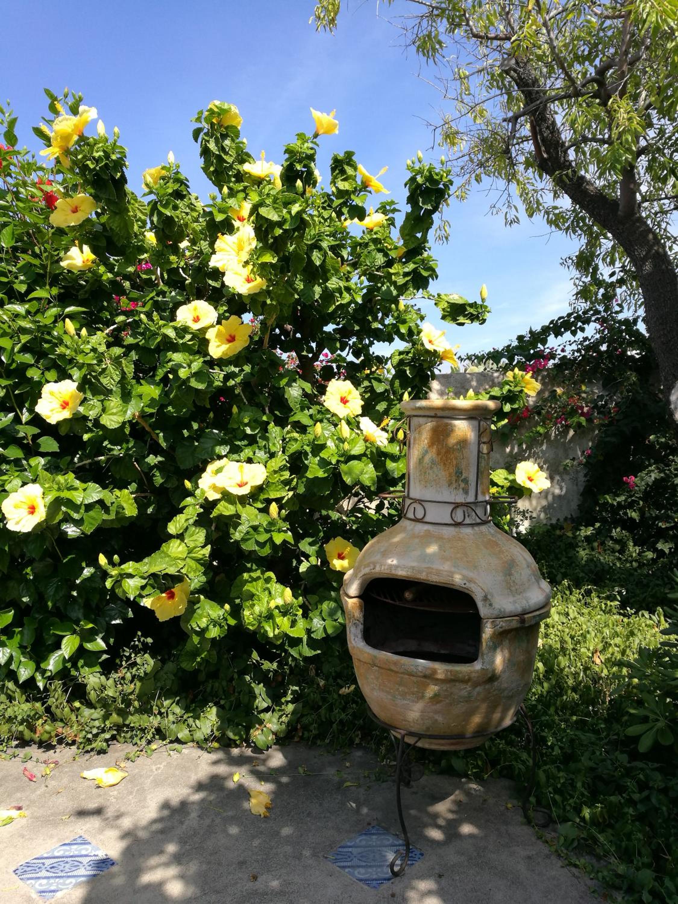 Deluxe Double or Twin Room with Garden View photo 3