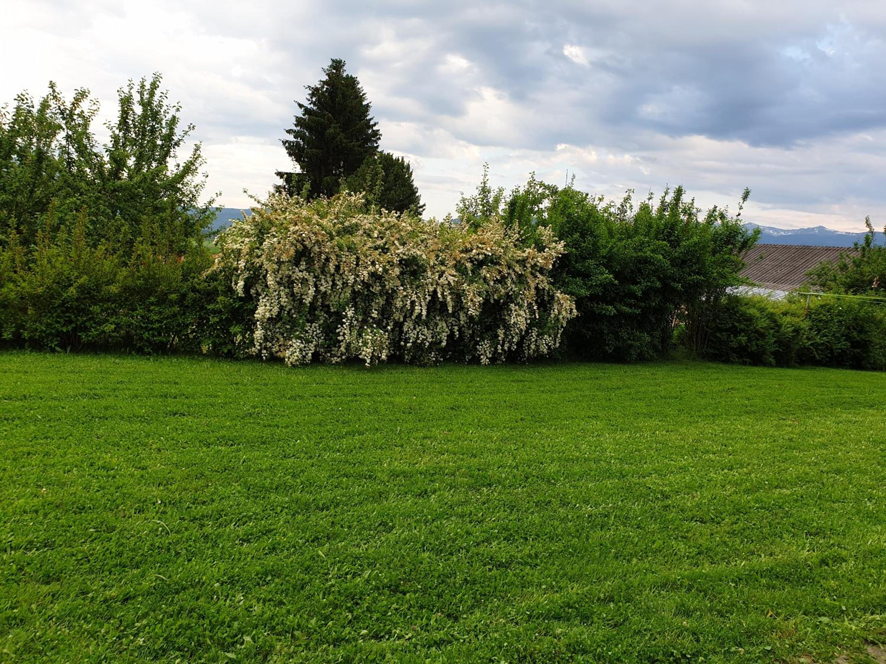 Double Room with Garden View photo 3