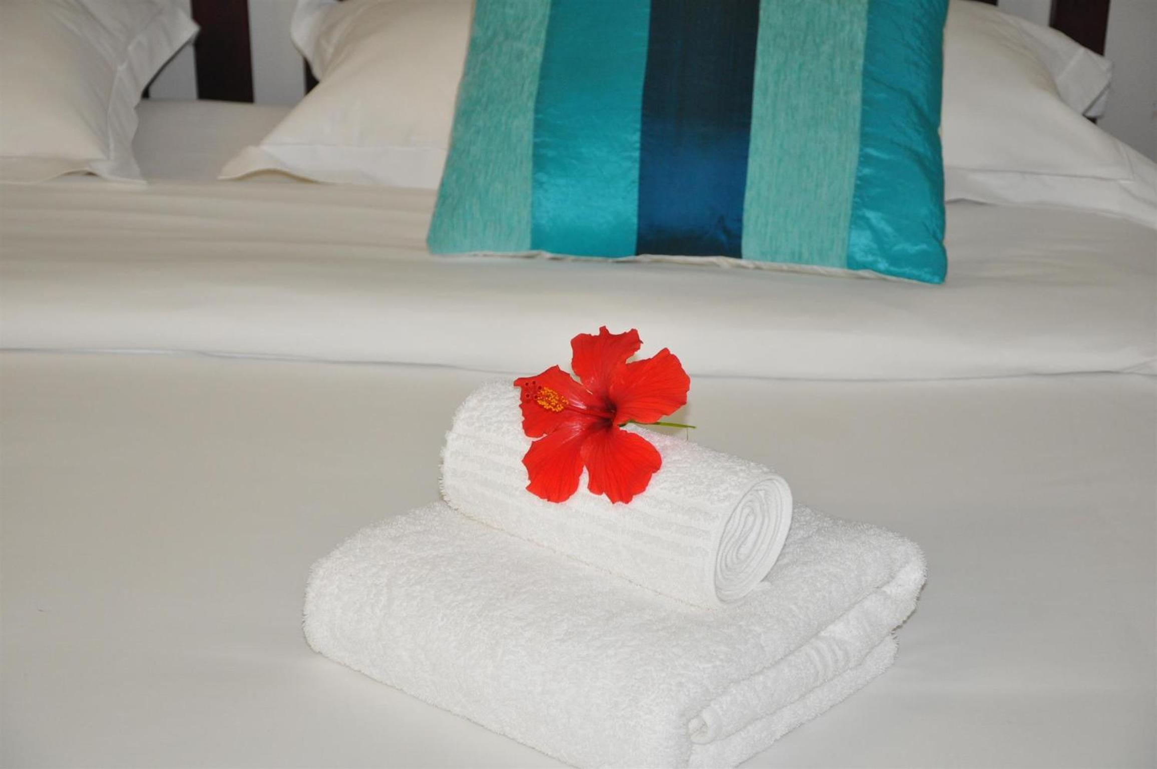 Garden Suite 2 - Photo 6