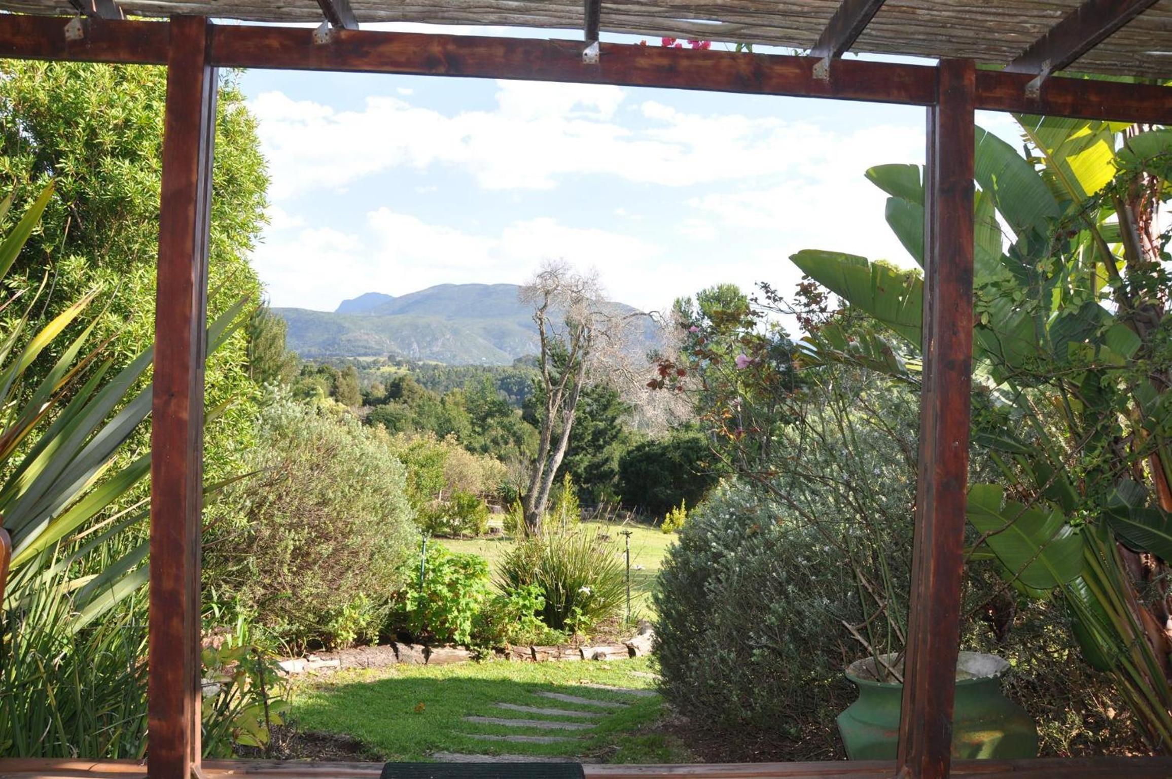 Garden Suite 1 - Photo 7