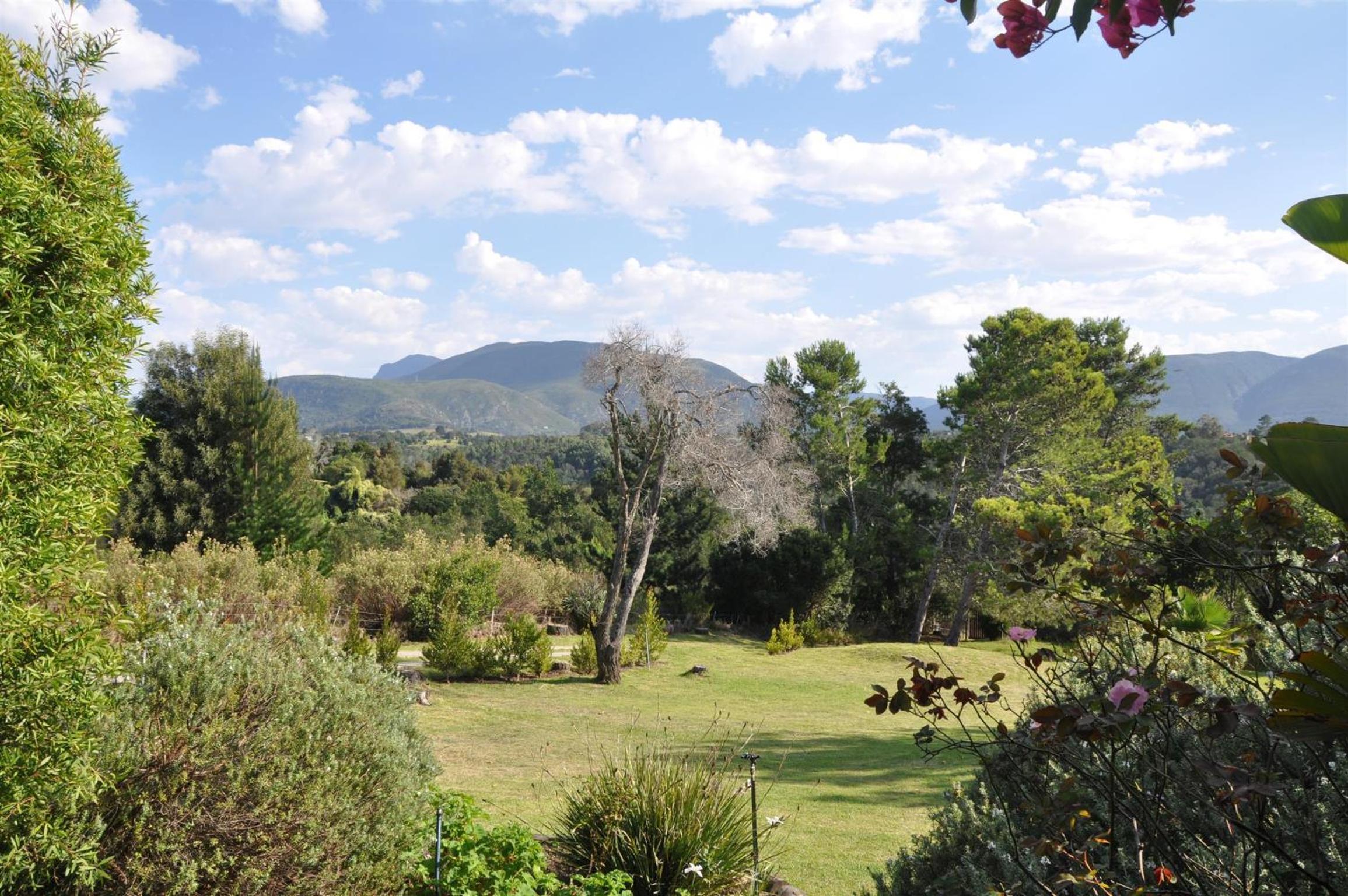 Garden Suite 1 - Photo 9