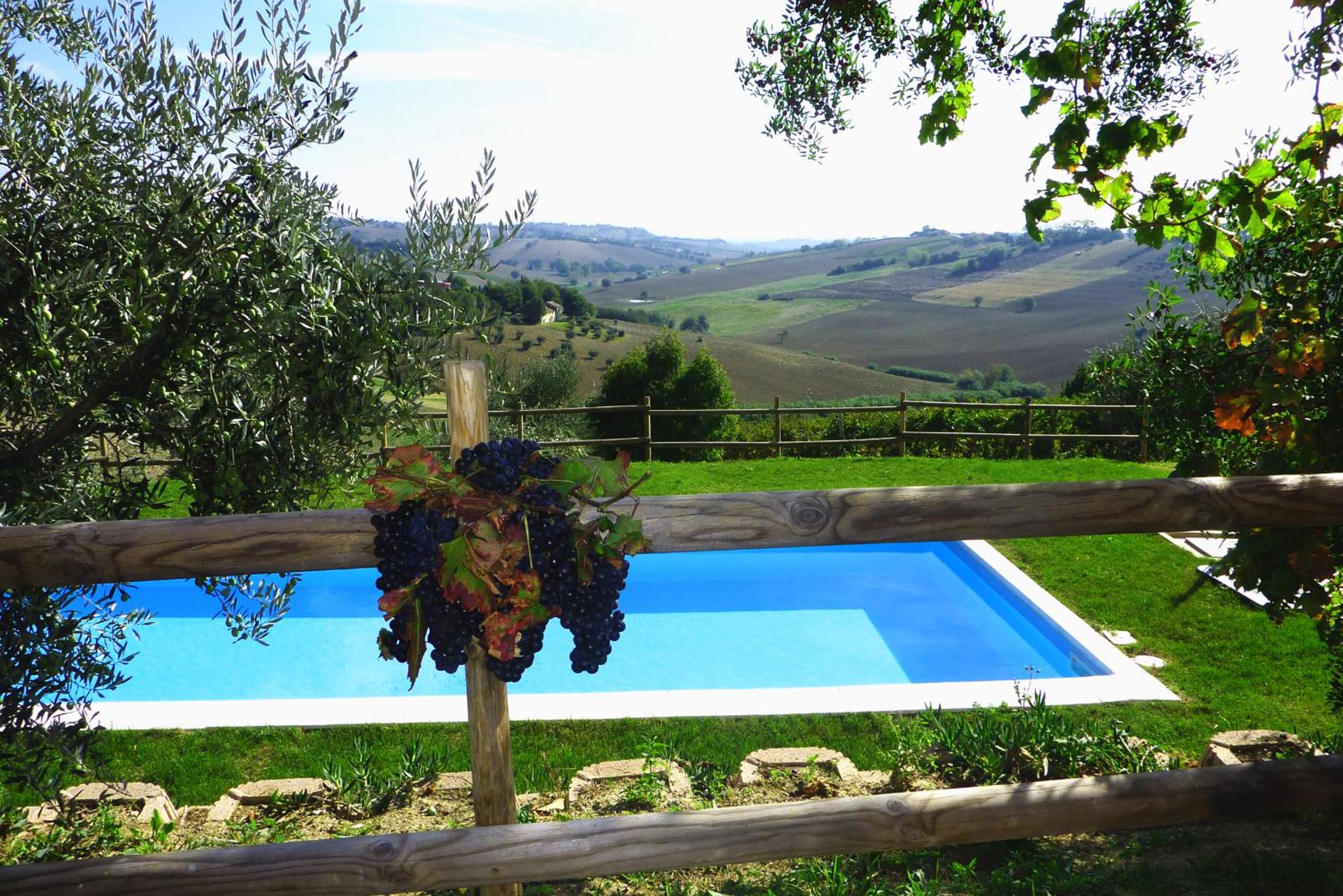 Vacation Home photo 3
