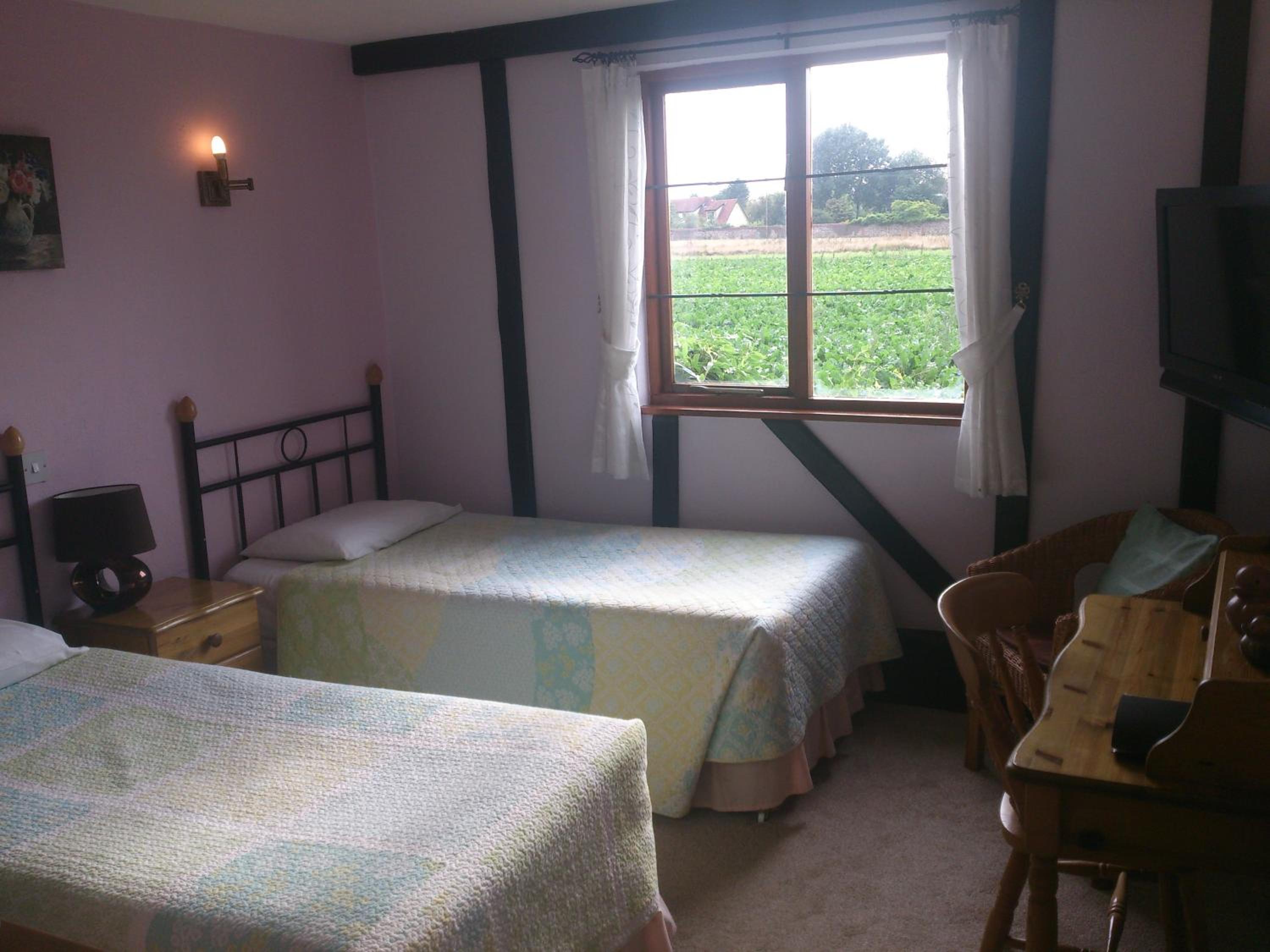 Twin Room - Photo 2