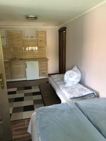 One-Bedroom Suite photo 3