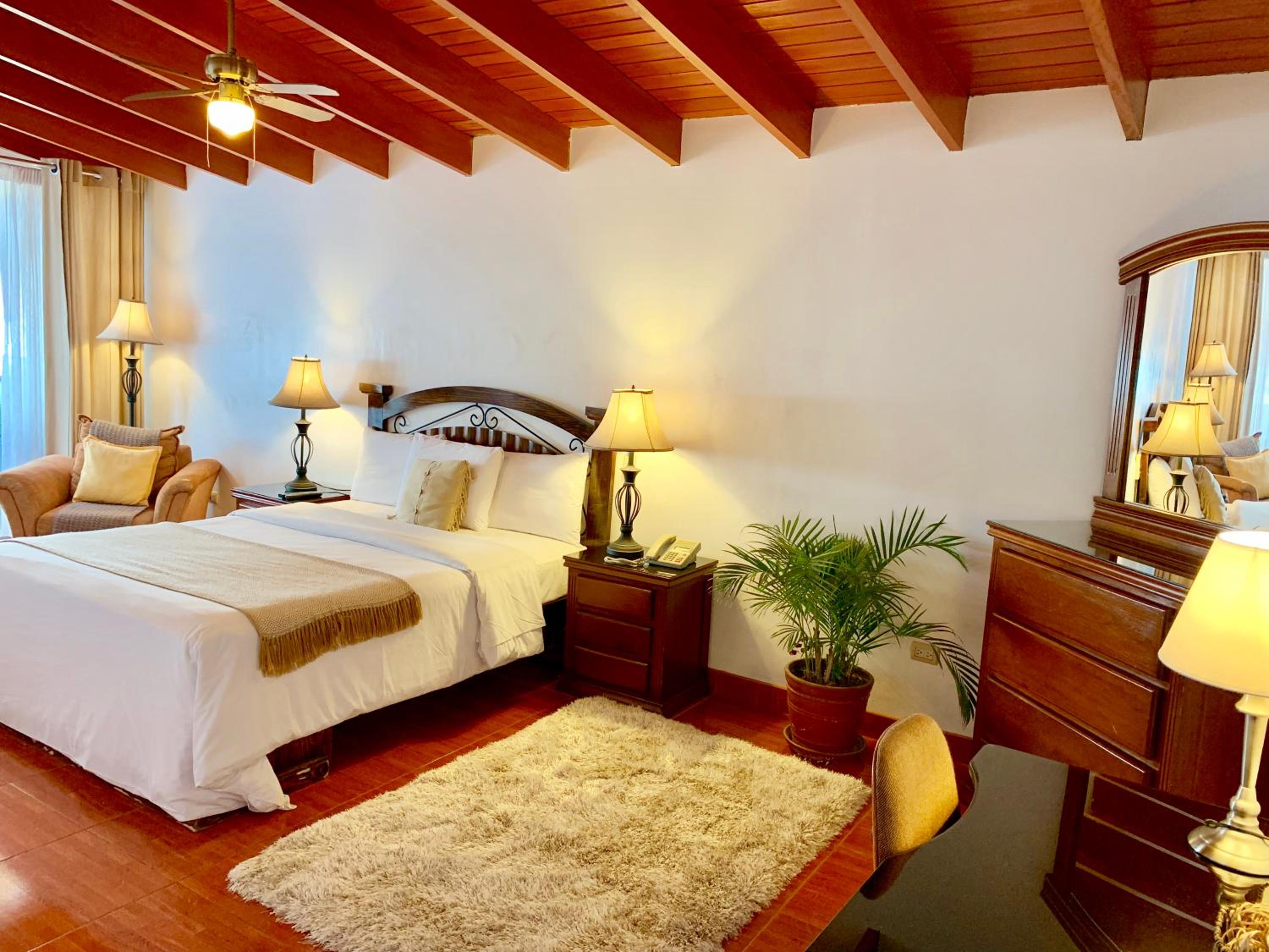 Junior Suite with Garden View - Photo 19