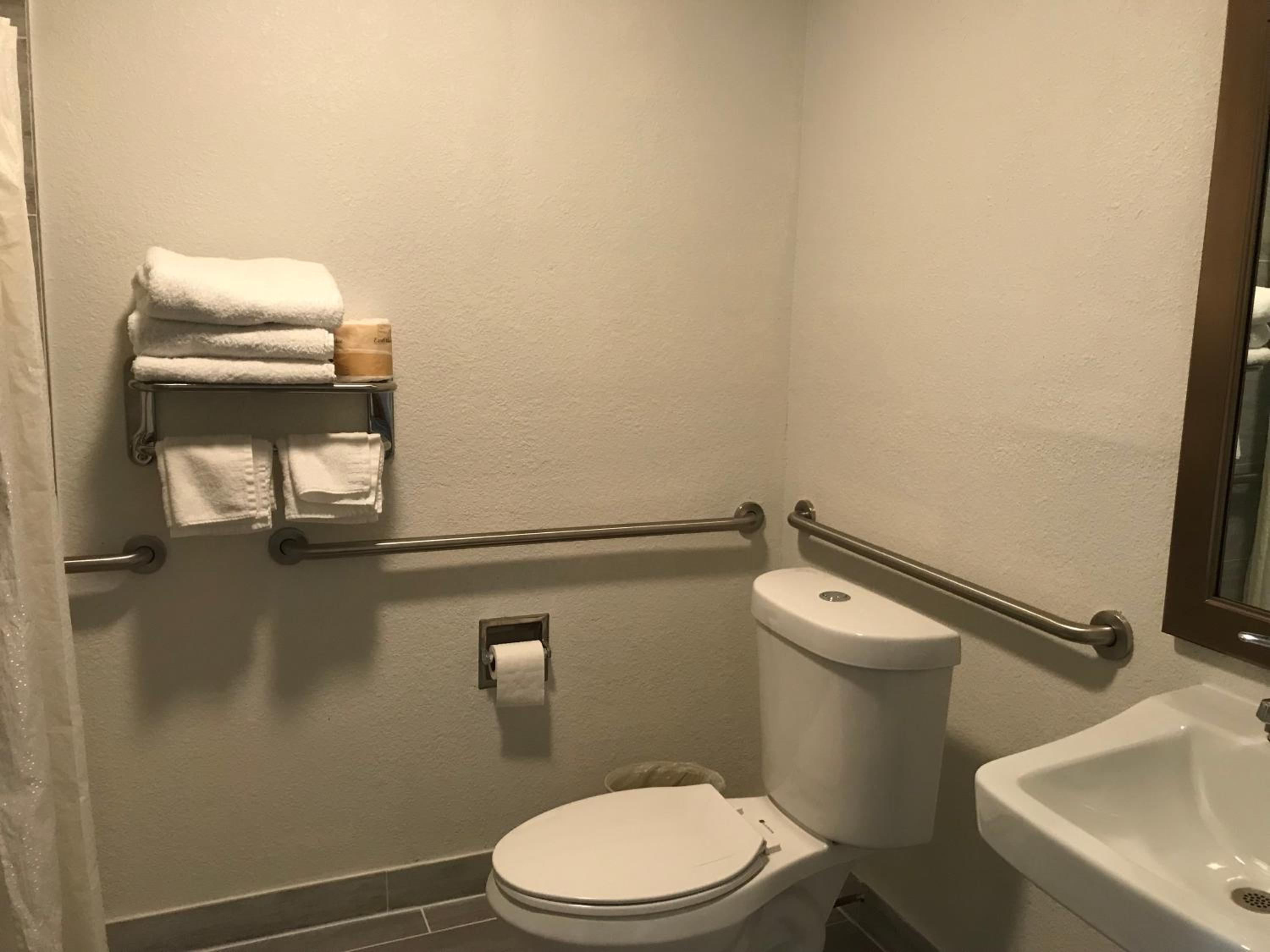 Single Room - Disability Access photo 3
