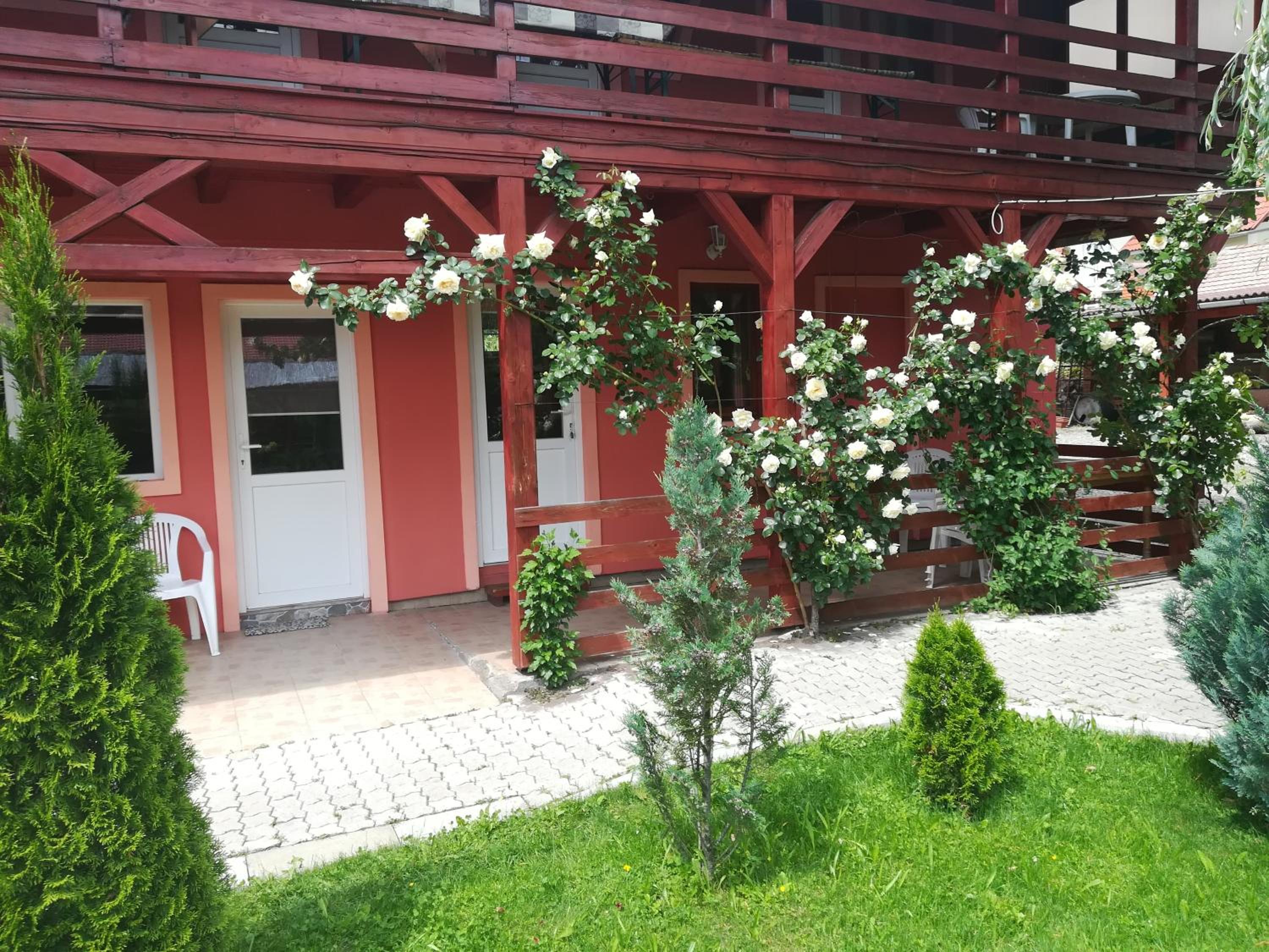 Studio with Balcony photo 1