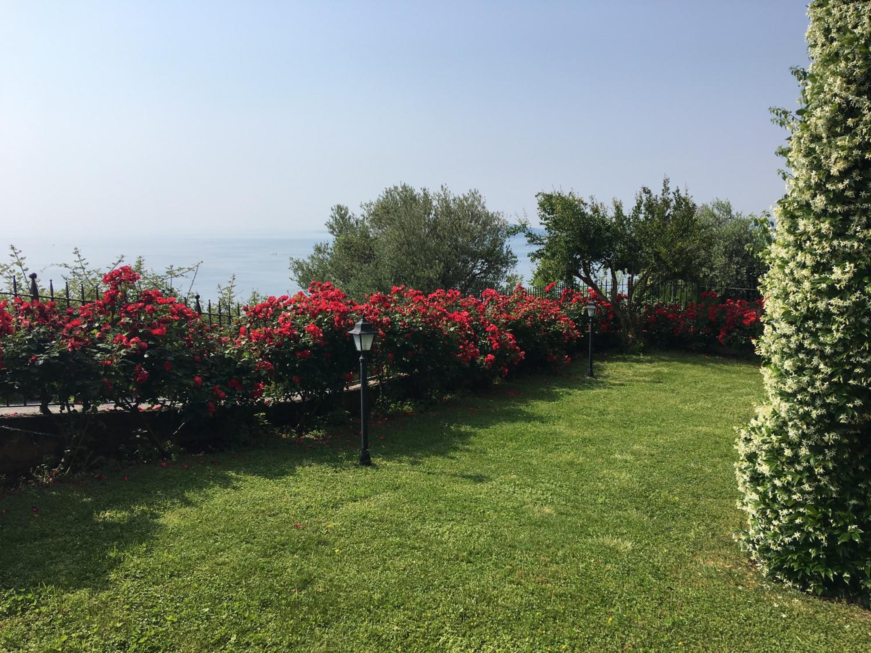 Double Room with Lake View
