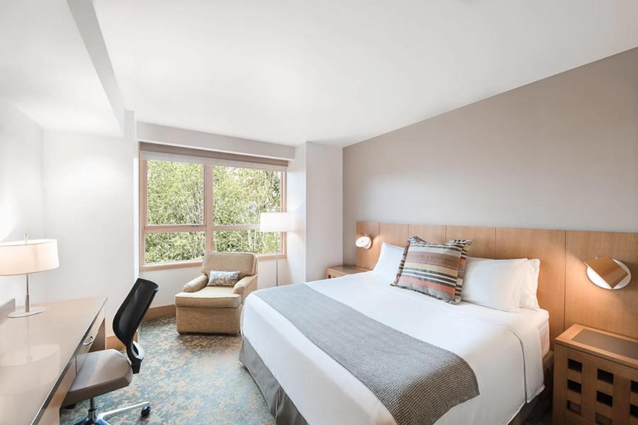 Deluxe King Room - Photo 6