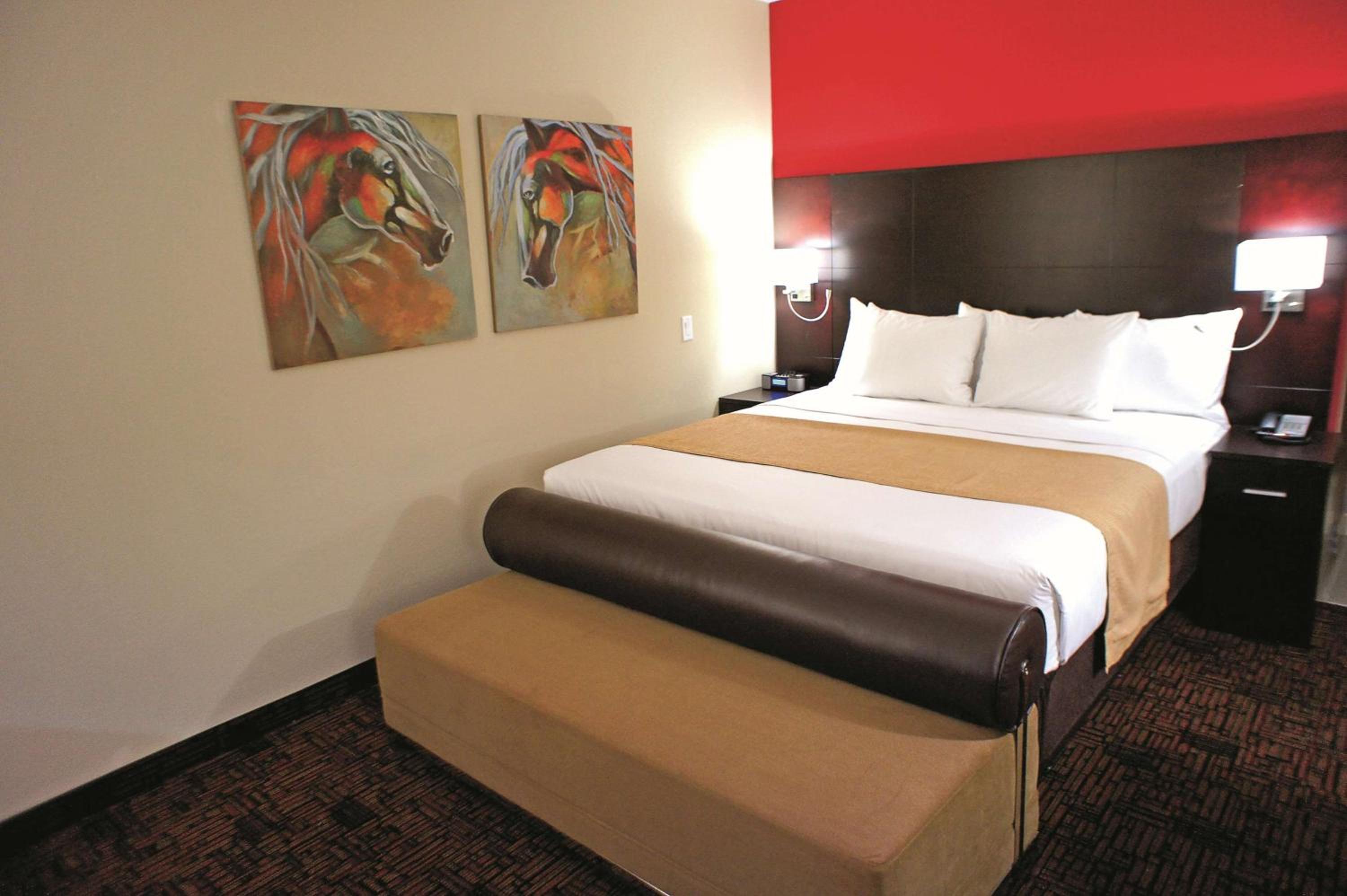 King Room with Mobility/Hearing Impaired Access - Non-Smoking photo 3