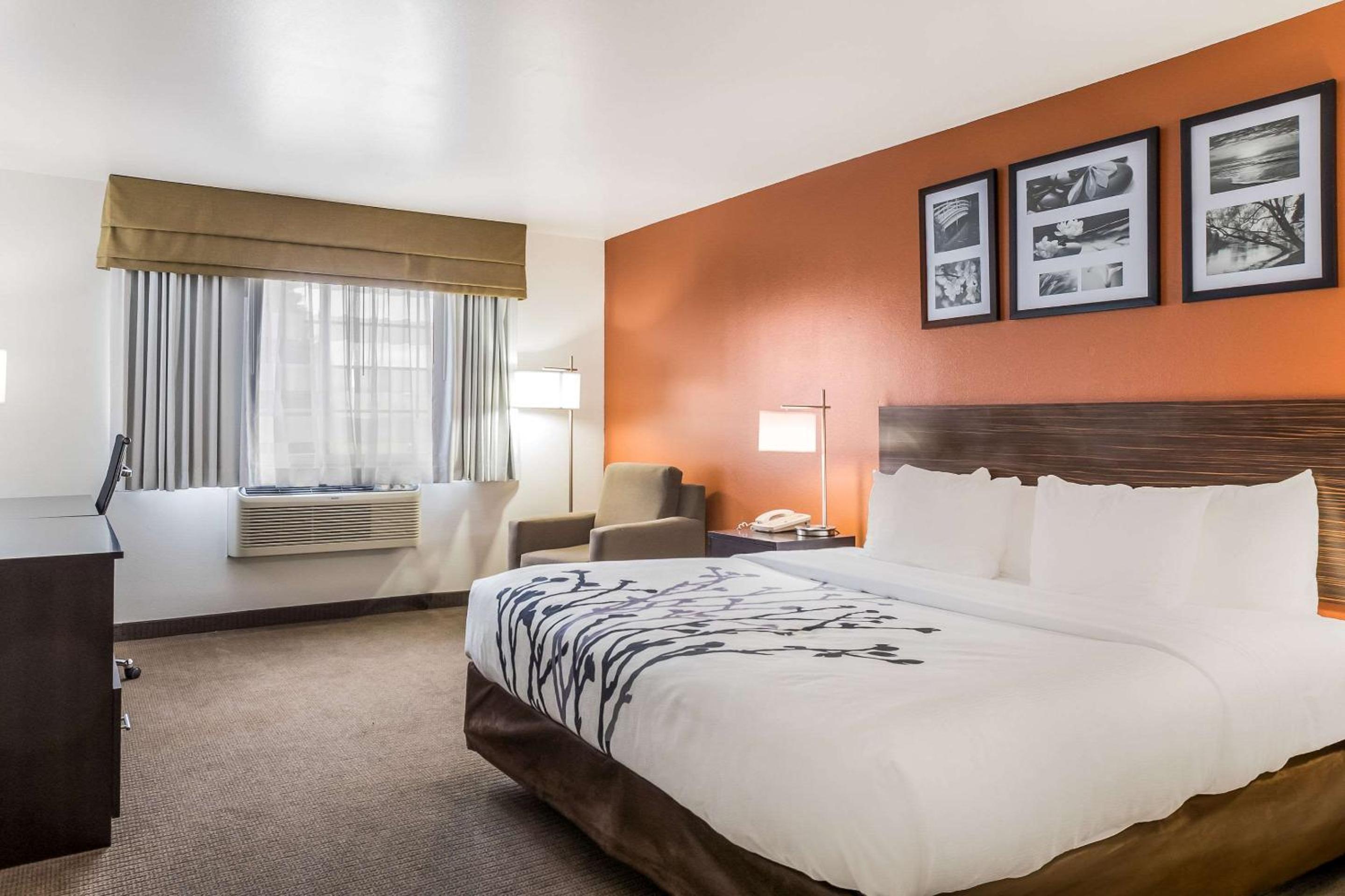 King Room - Non-Smoking - Photo 4