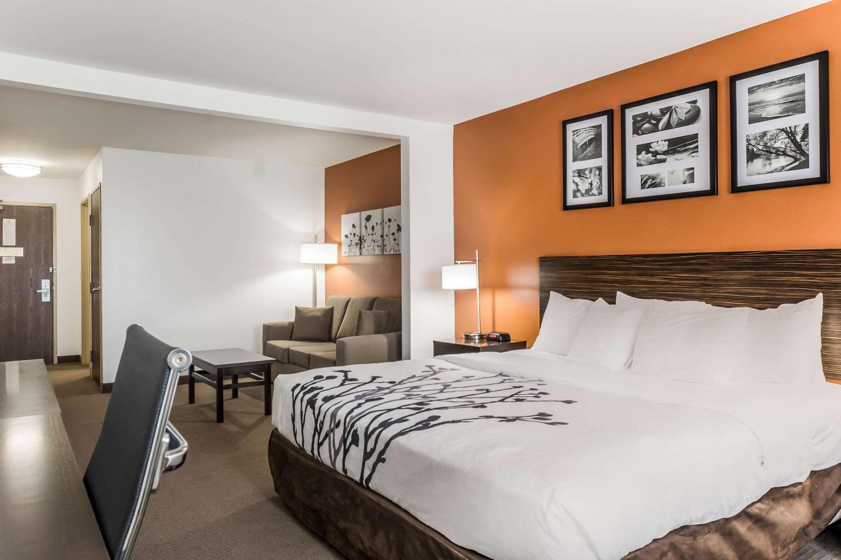 King Suite with Sofa Bed - Non-Smoking - Photo 1