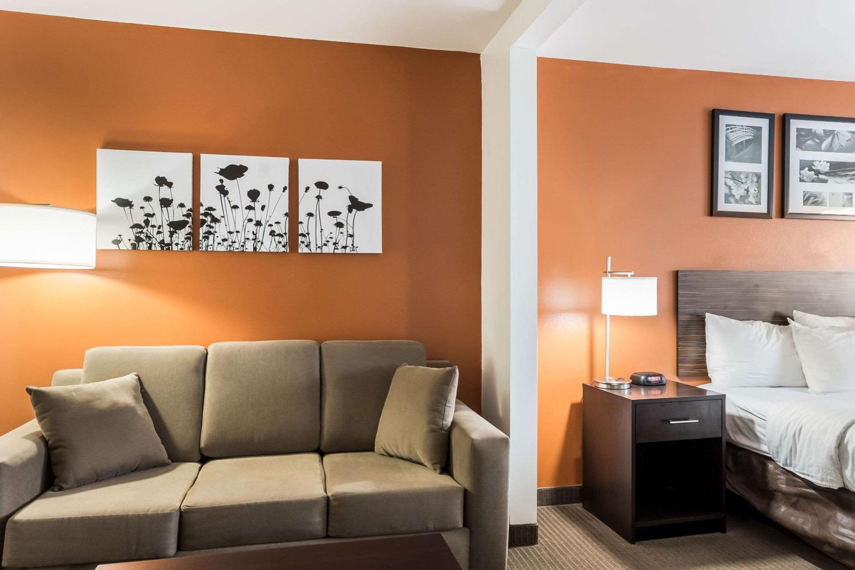 King Suite with Sofa Bed - Non-Smoking - Photo 2