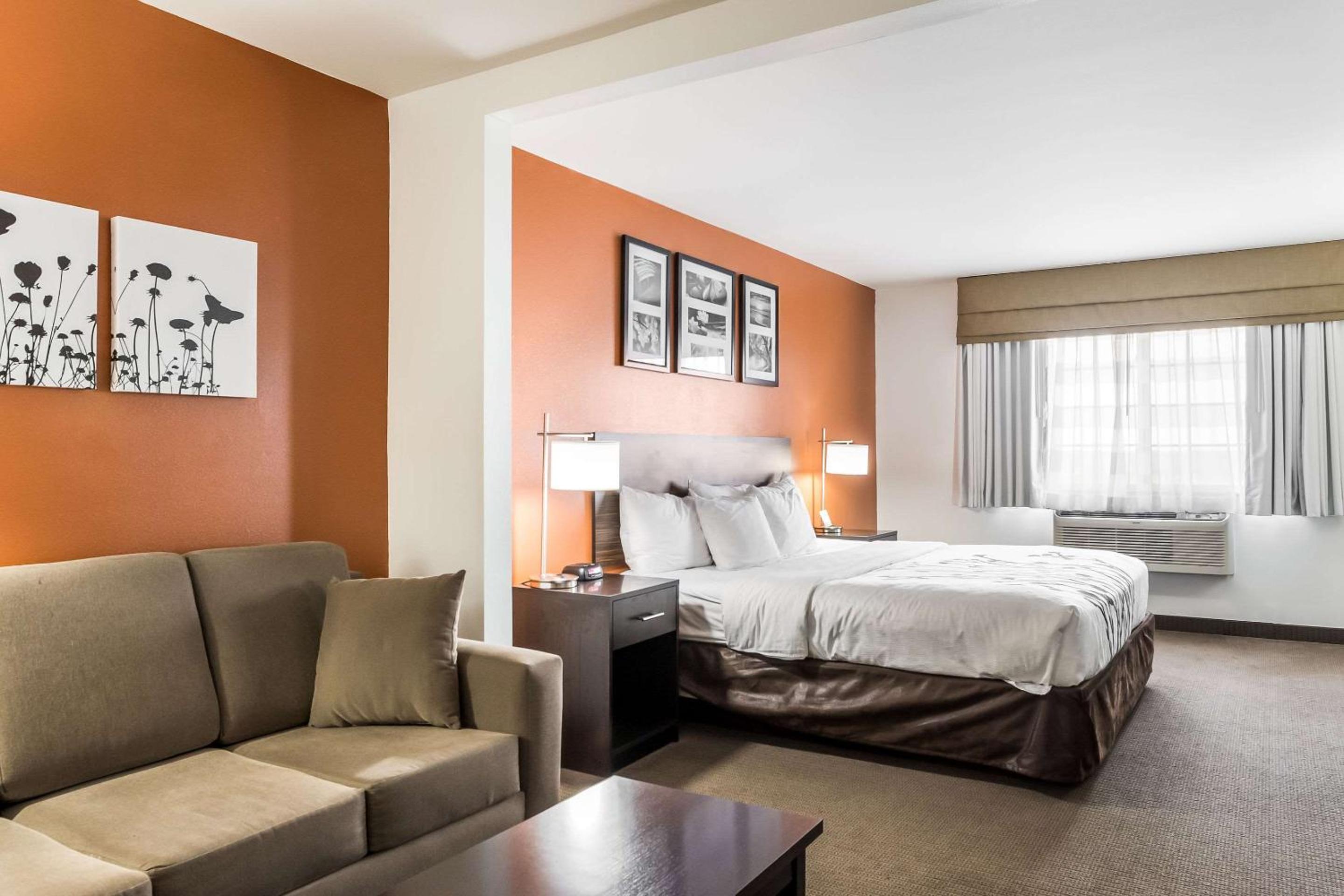 King Suite with Sofa Bed - Non-Smoking - Photo 3