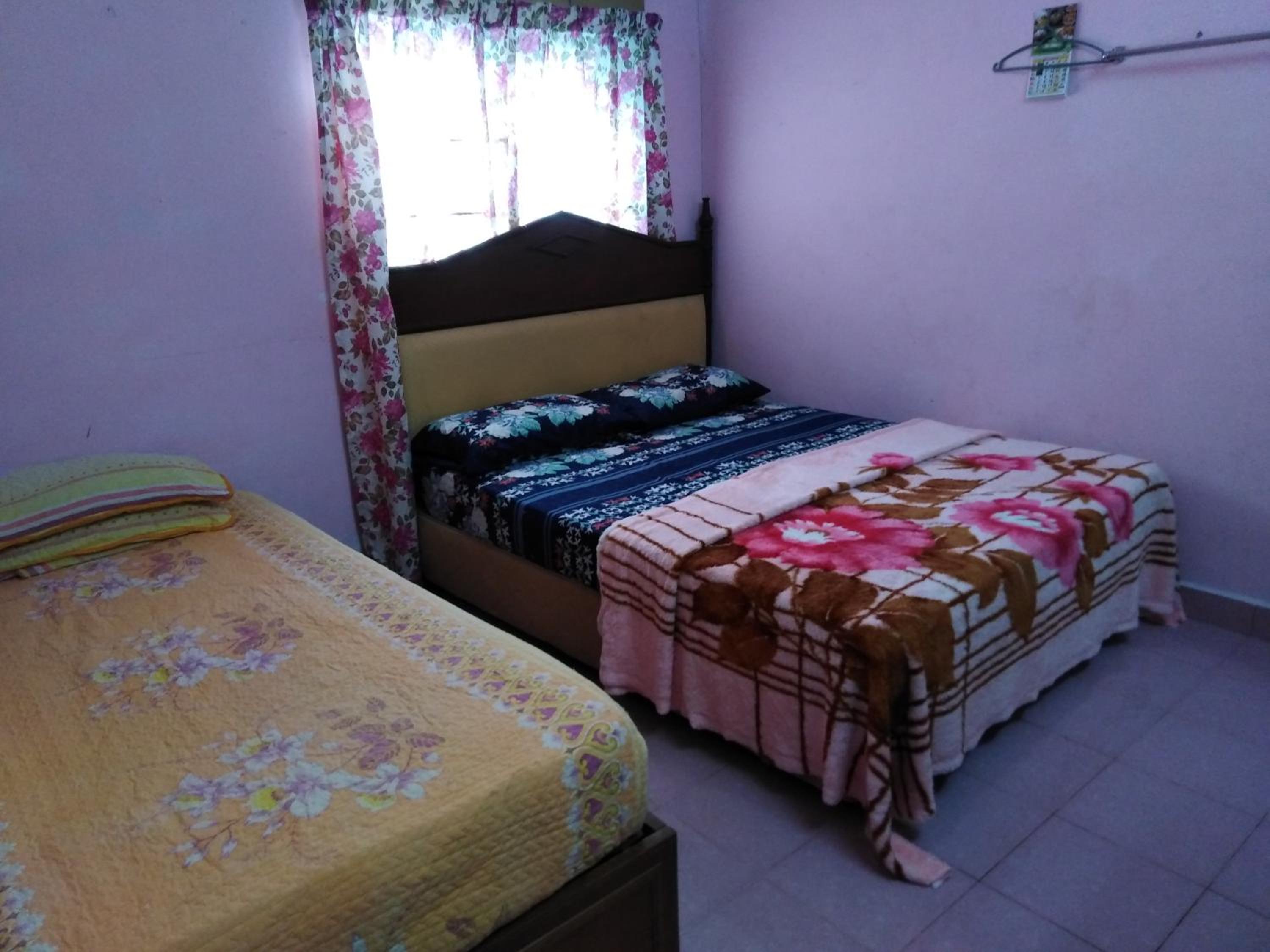 Three-Bedroom House photo 3