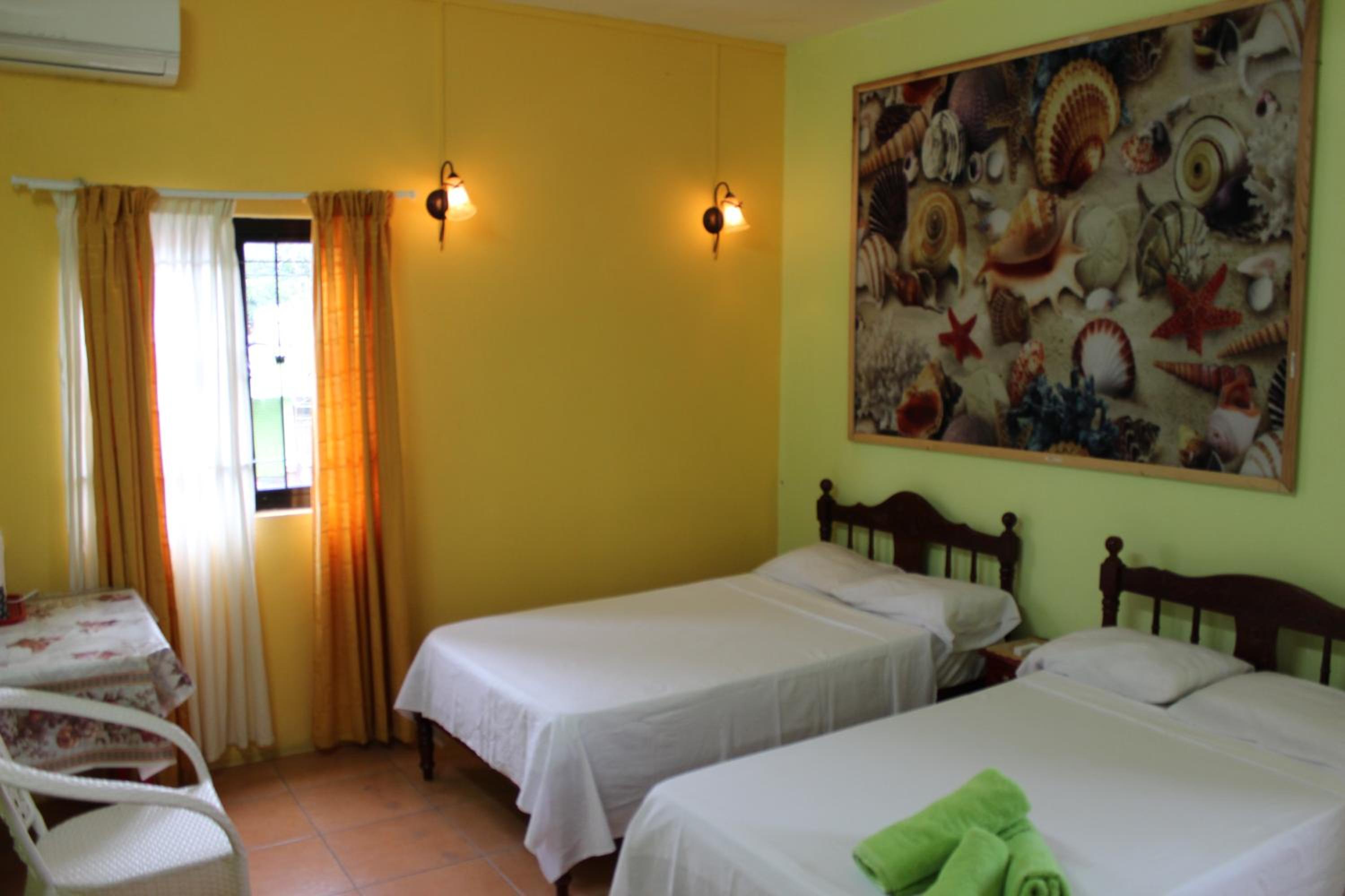 Large Double or Twin Room