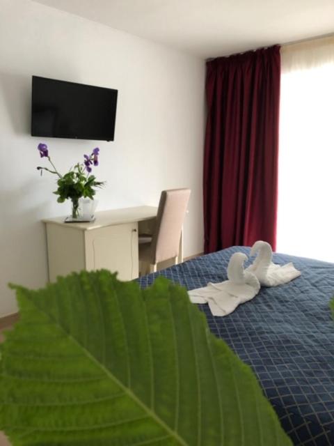 Double Room - Photo 7