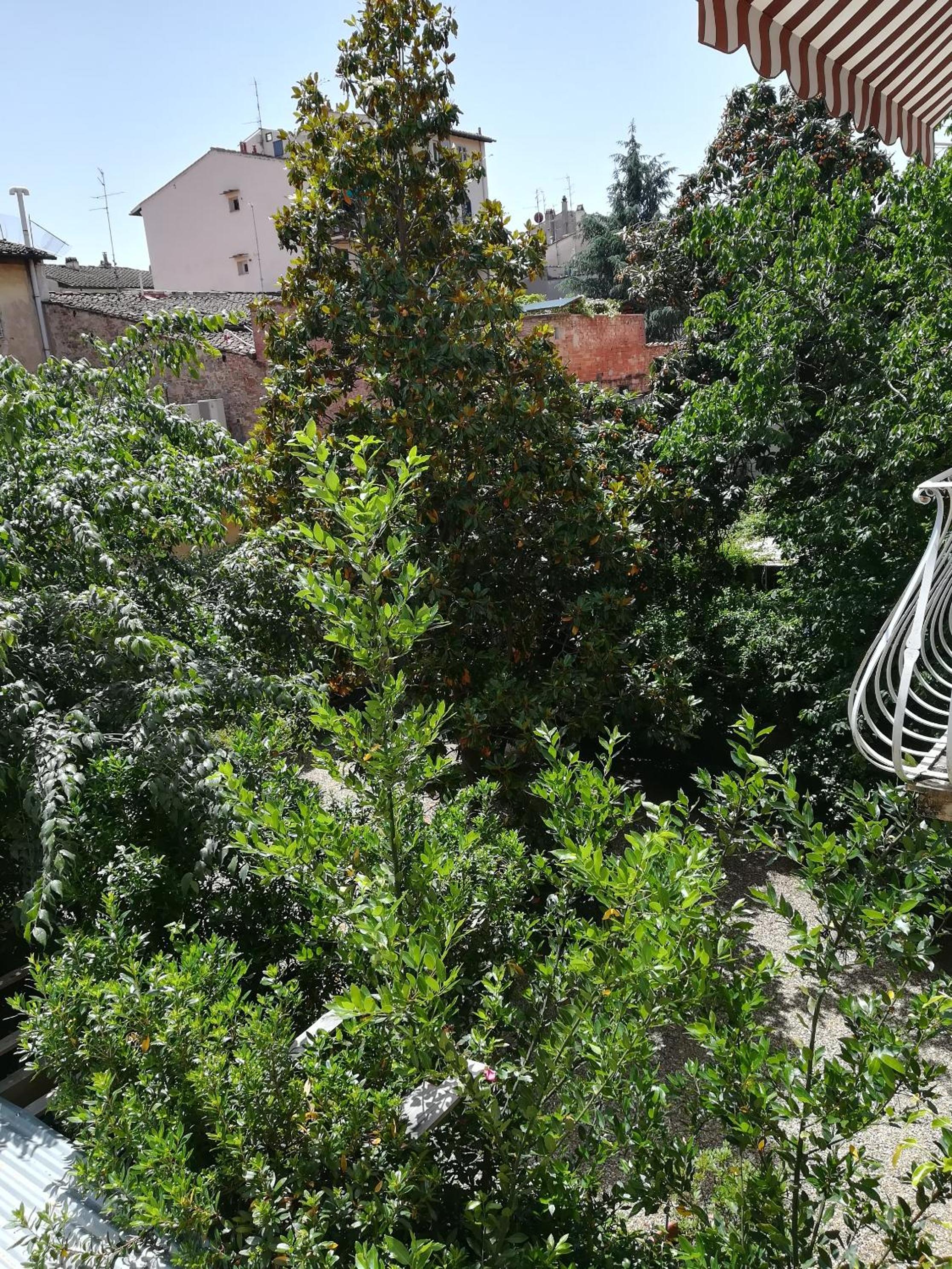 Apartment with Garden View photo 3