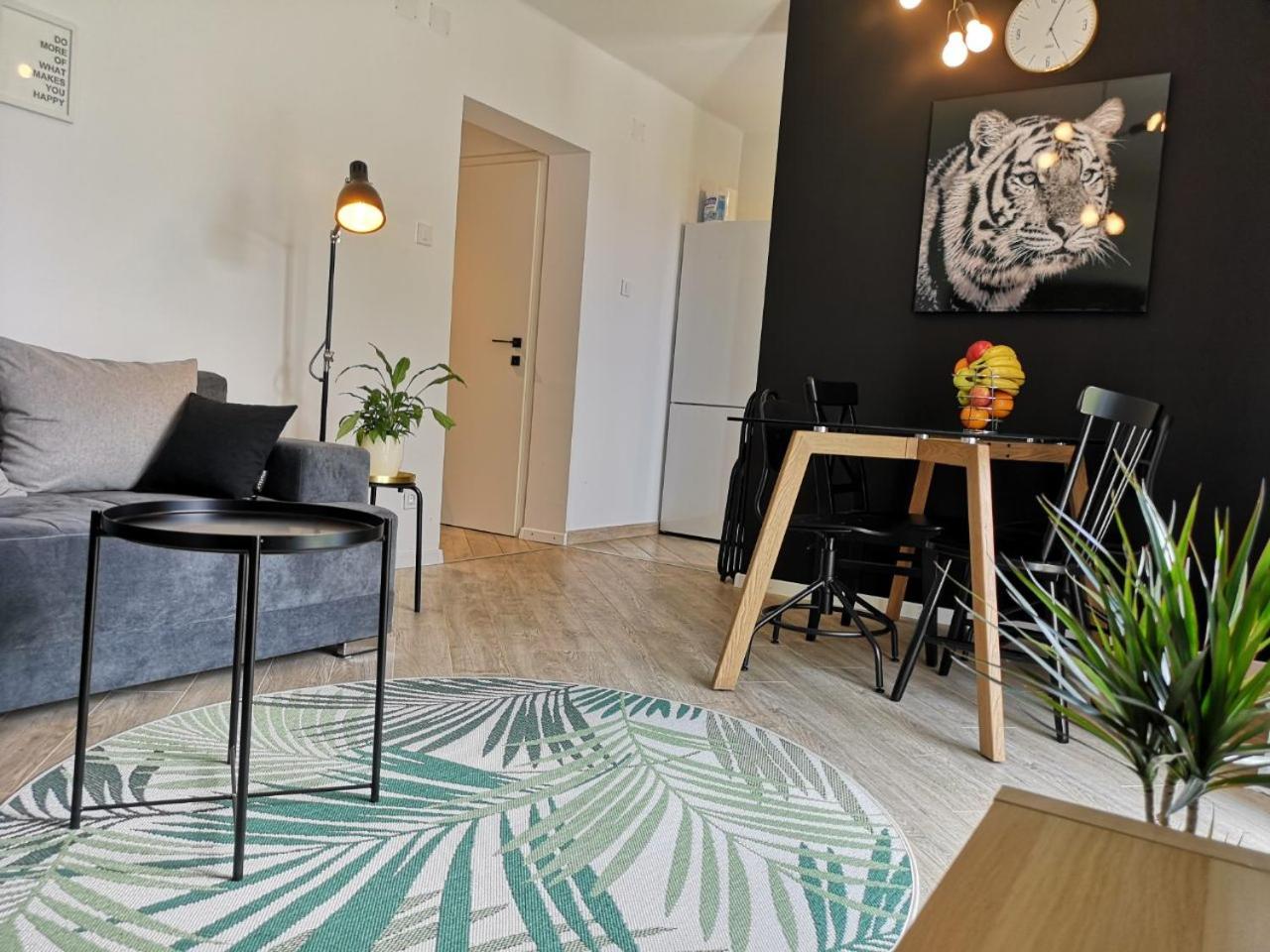 Superior Apartment photo 2